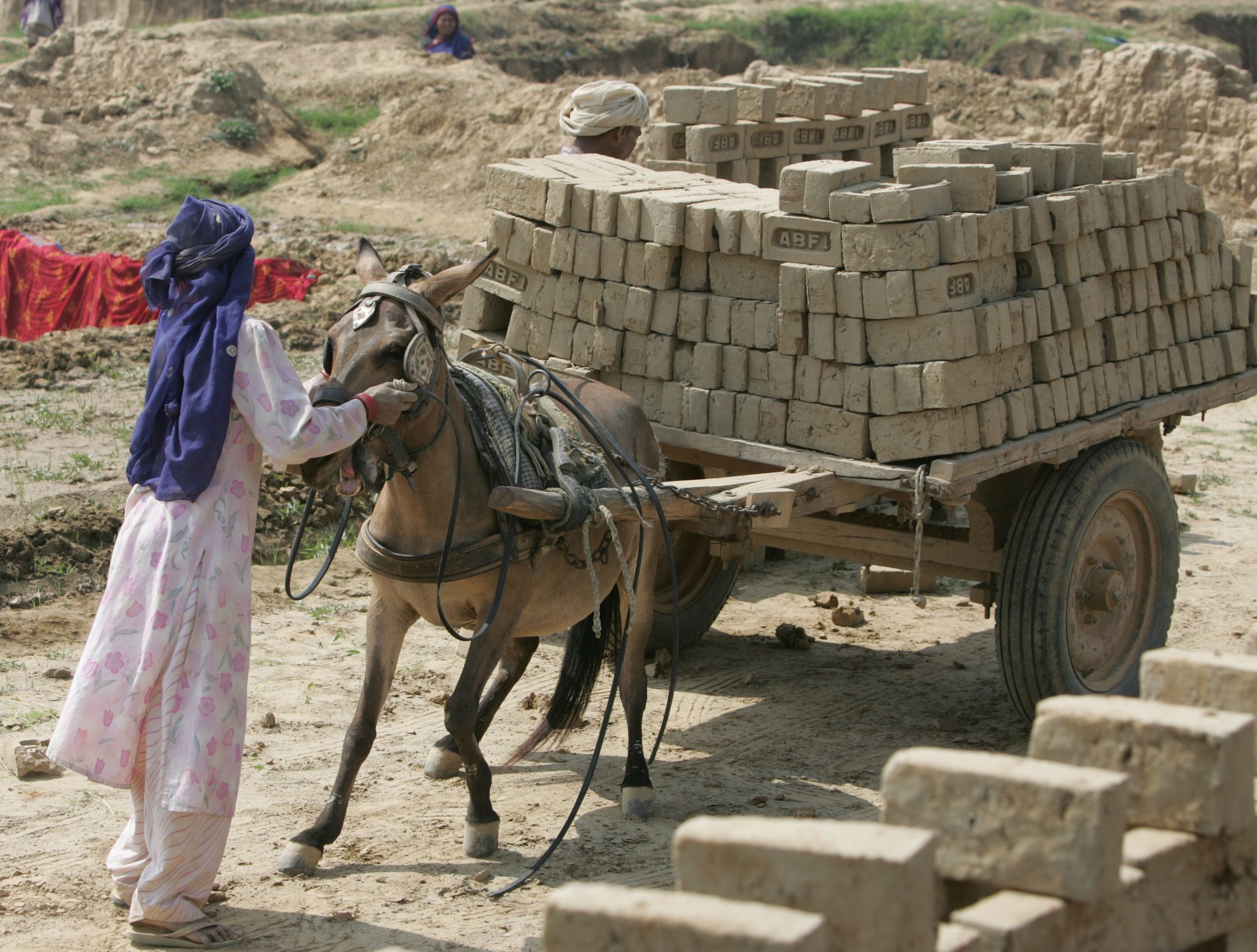 Horses and donkeys working in brick kilns are routinely made to haul 25-40 tons of bricks each day. www.BrookeUSA.org.jpg