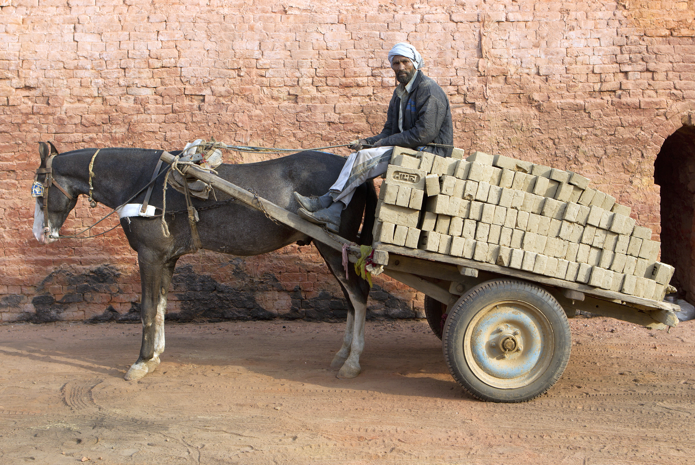 overloaded horse bricks wagon Noor, 62, and his horse Basanti at the BK Tayal kiln, Uttar Pradesh, India. SMALL.png