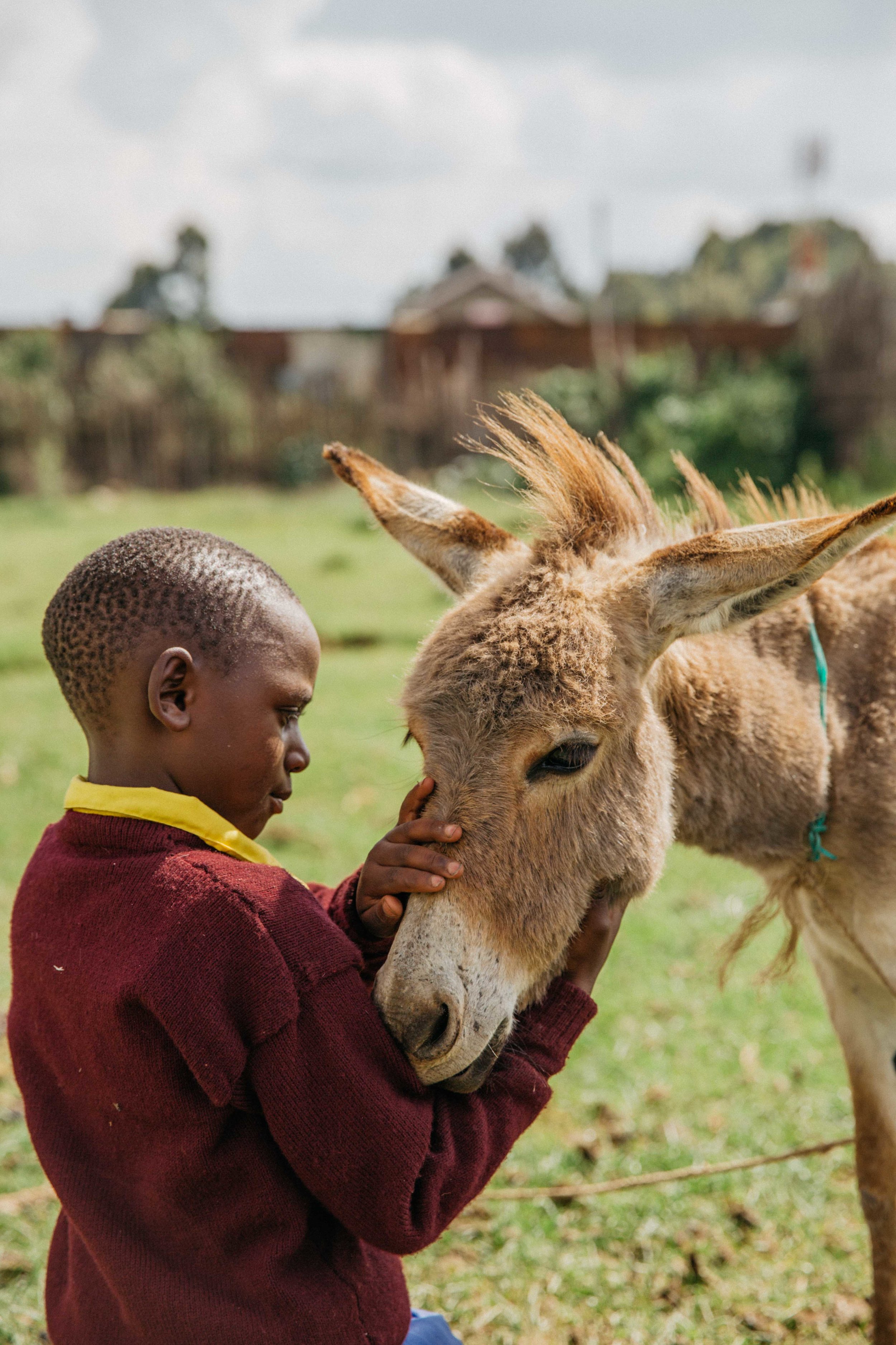 FDowson.Kenya(22of25).JPG