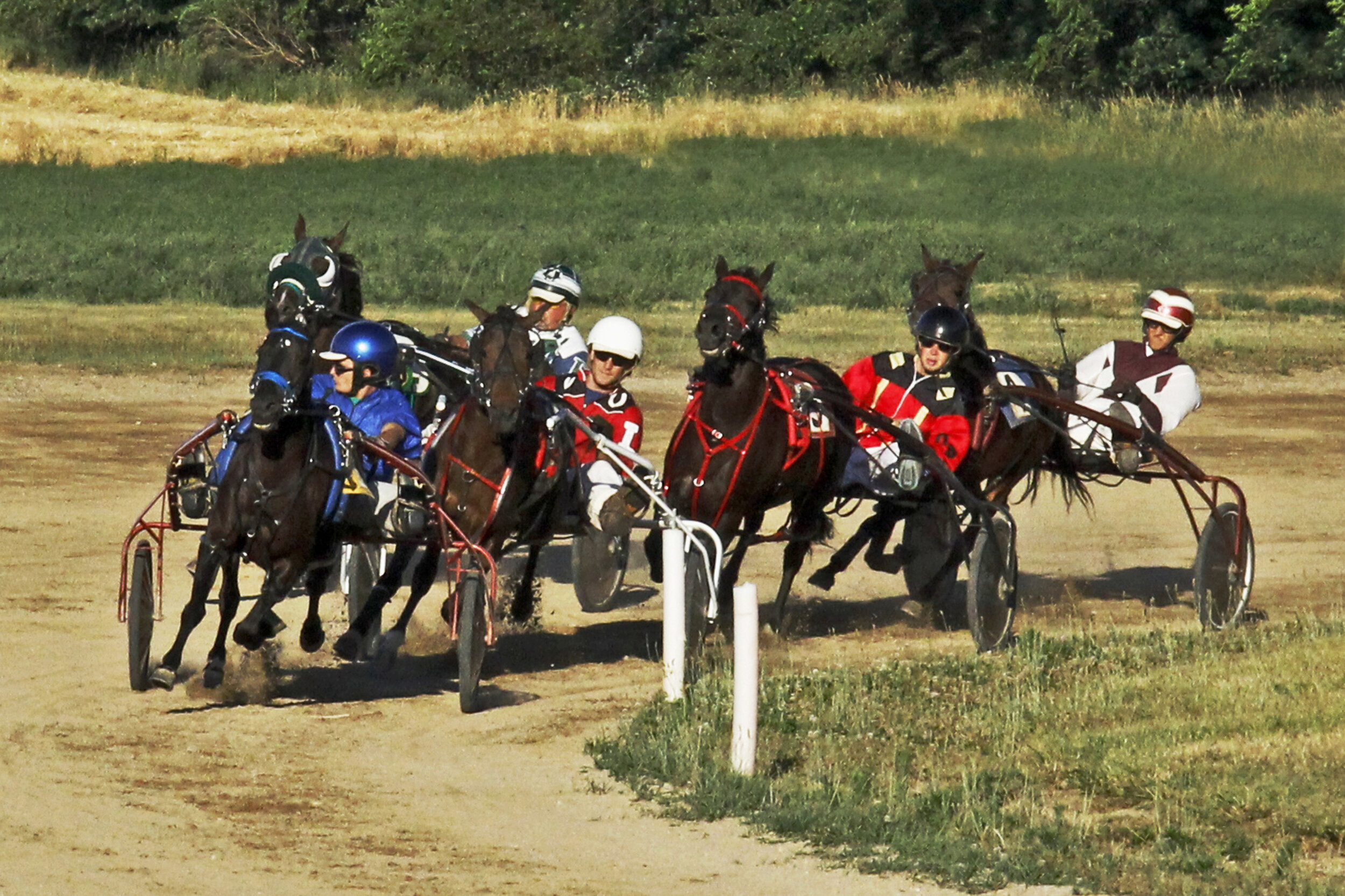 Jim McClean - Pony Sulkie Race