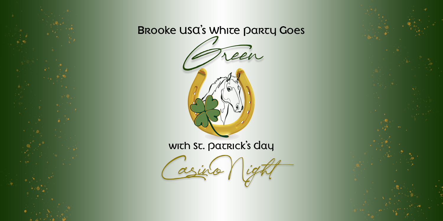 Brooke USA's White Party Goes Green With St. Patrick's Day Casino Night