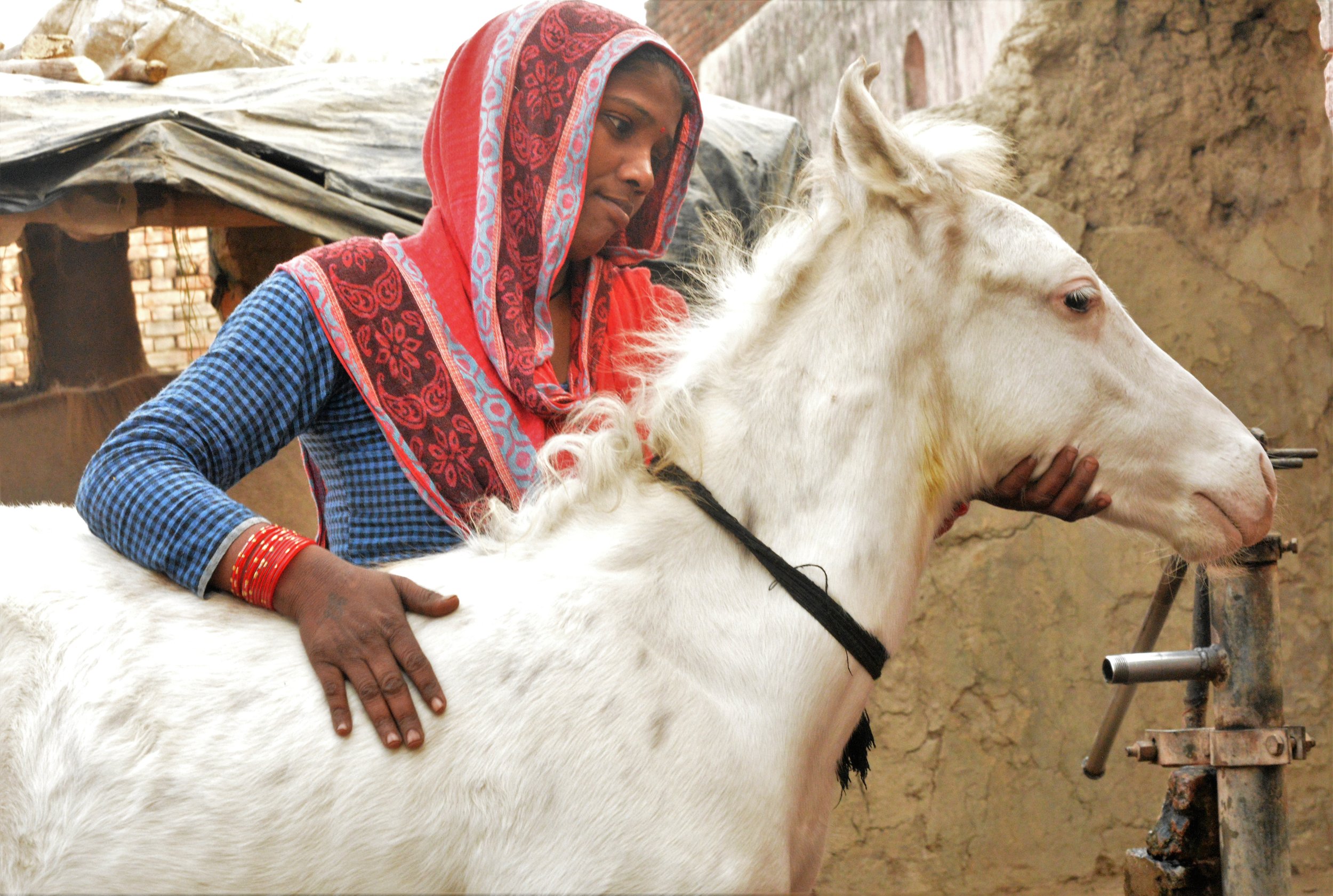 women owner with her mare foal.jpg