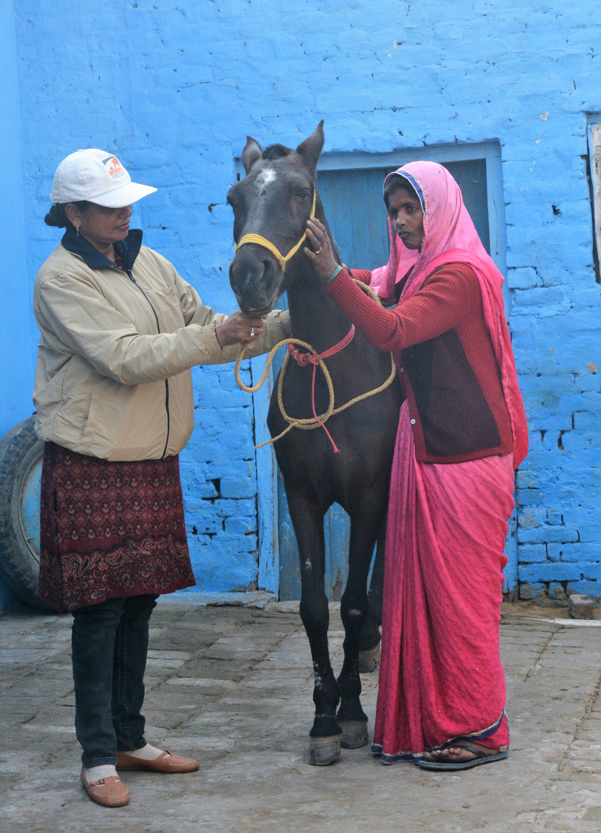 Brooke India VACM Sarita explaining the women owner about the eye care.jpg