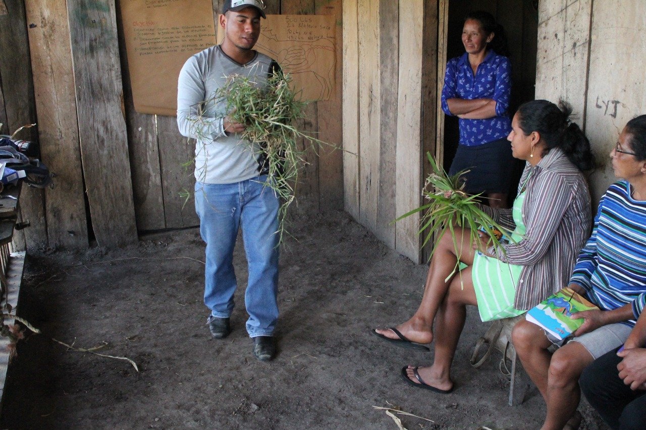 Brooke USA funds programs that are designed to strengthen the self-reliance of animal owners so that they are involved in maintaining the health and wellbeing of their working equines. These initiatives allow equine owners to analyze their own situat