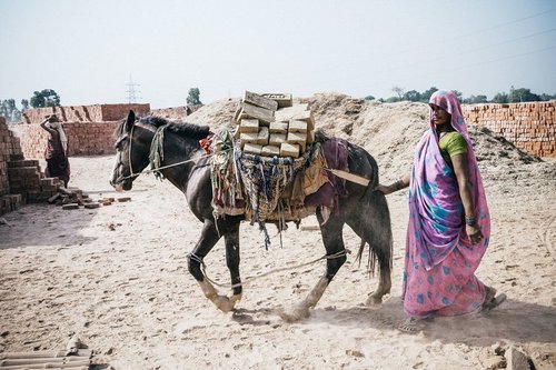 India has 1.6 million working equines and as many families who rely on them. These people are among the most marginalized in the world, enduring a variety of hardships from very low wages to often extremely poor working conditions. It is hard for the