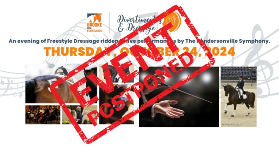 POSTPONED: 5th Annual Divertimentos &amp; Dressage - Tryon, NC