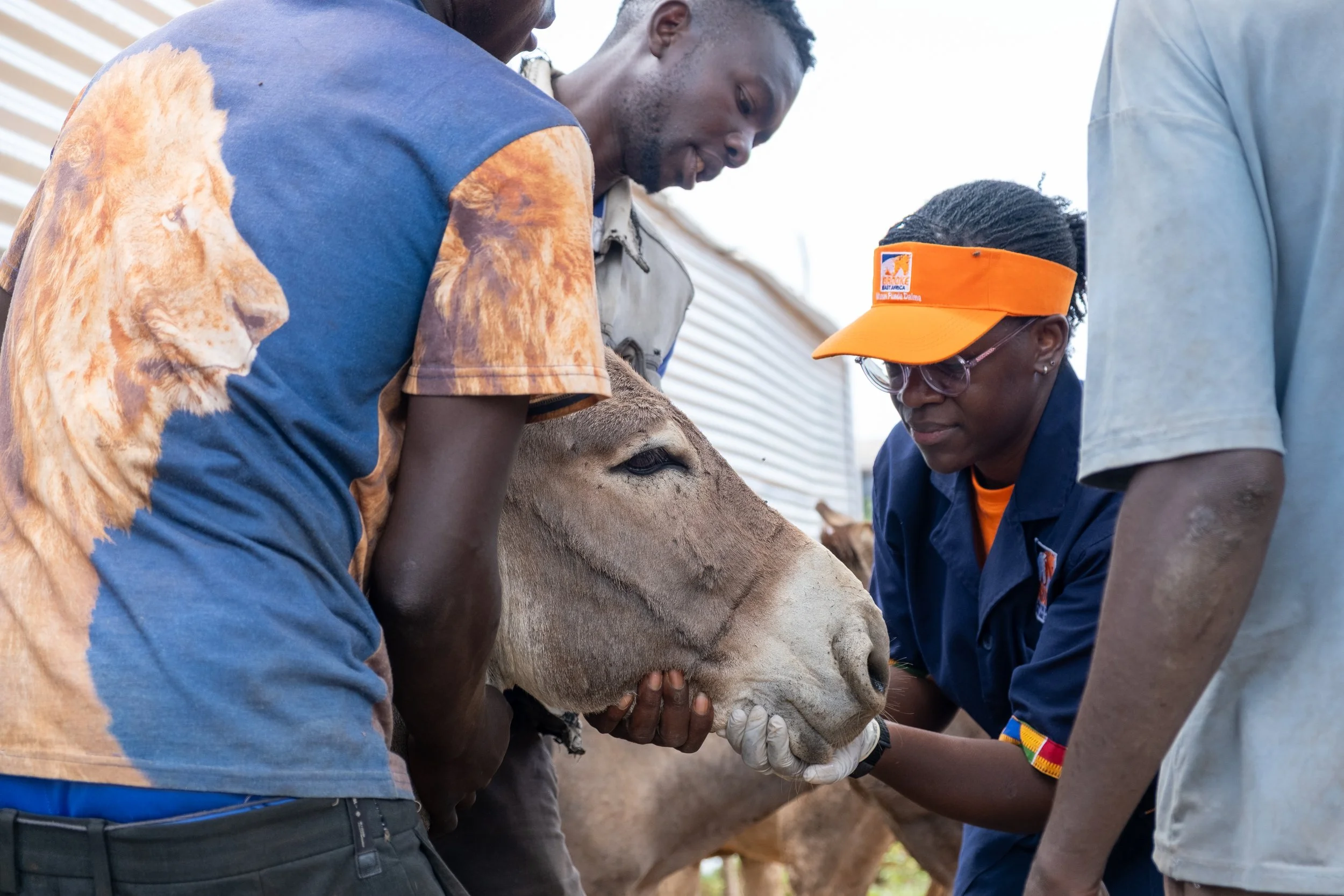 Samantha summary.jpeg