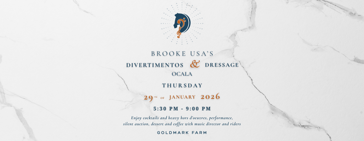 Divertimentos &amp; Dressage Ocala