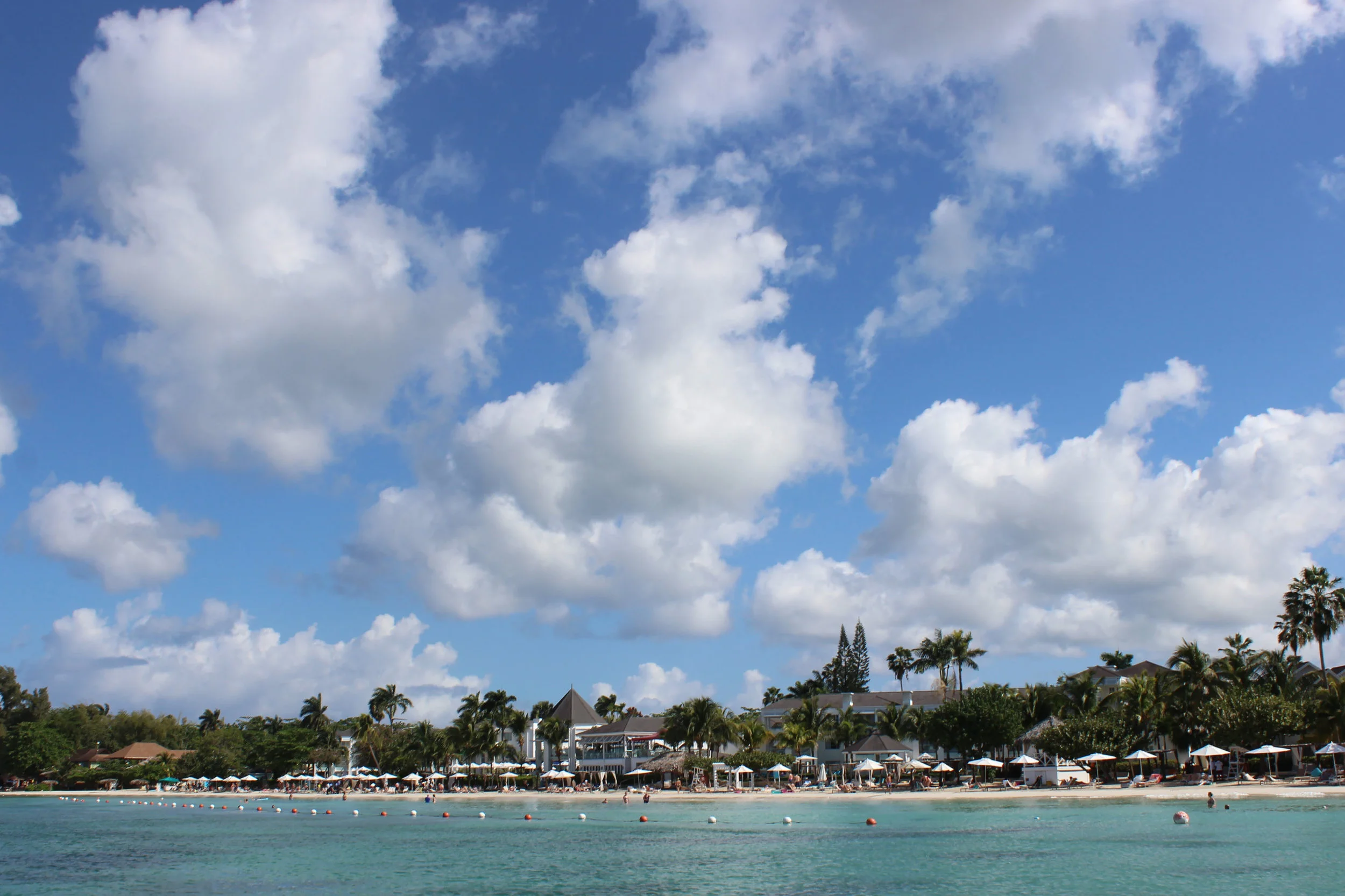 IMG_5751 copy.jpg