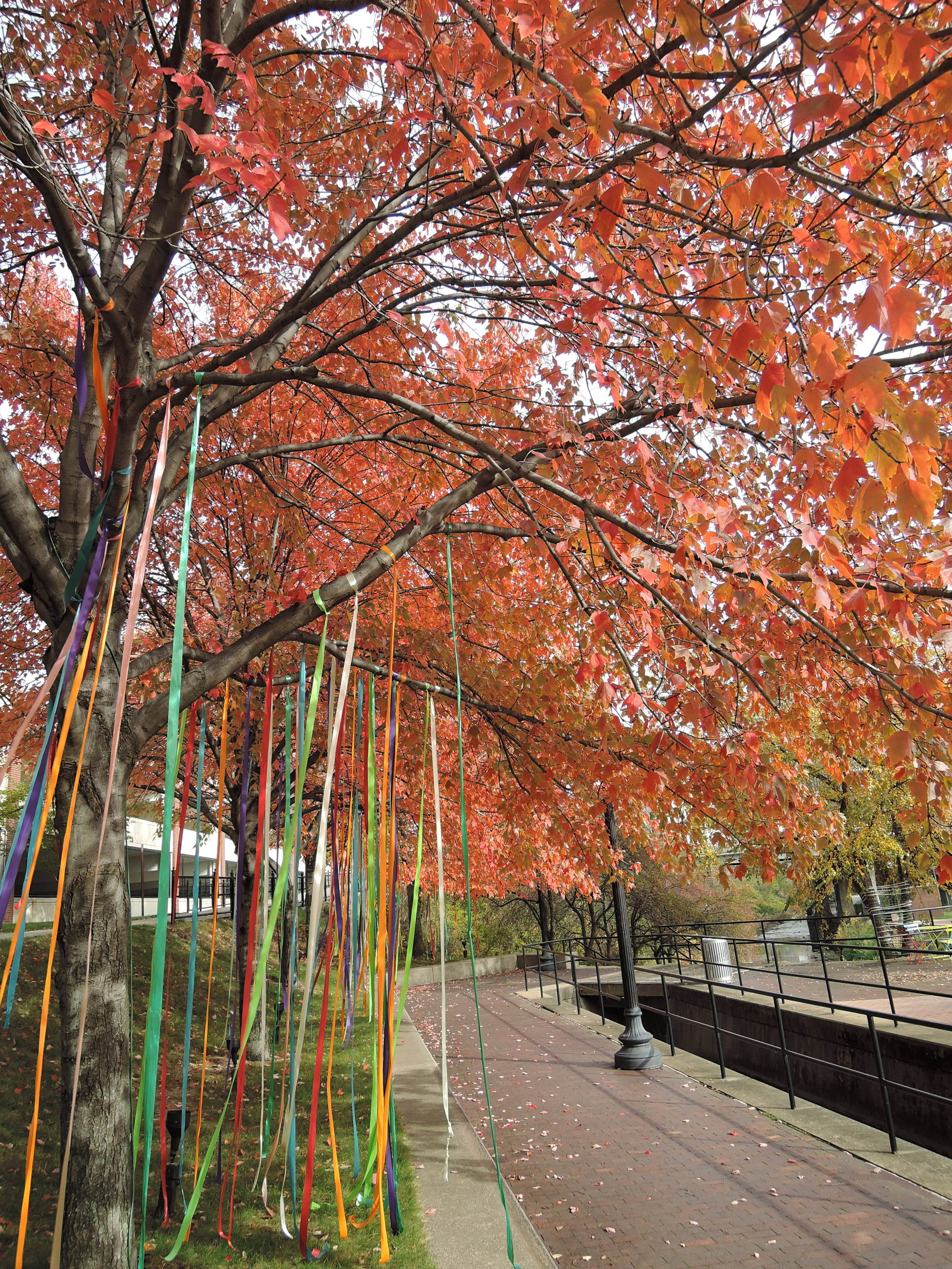 DSCN8957.JPG