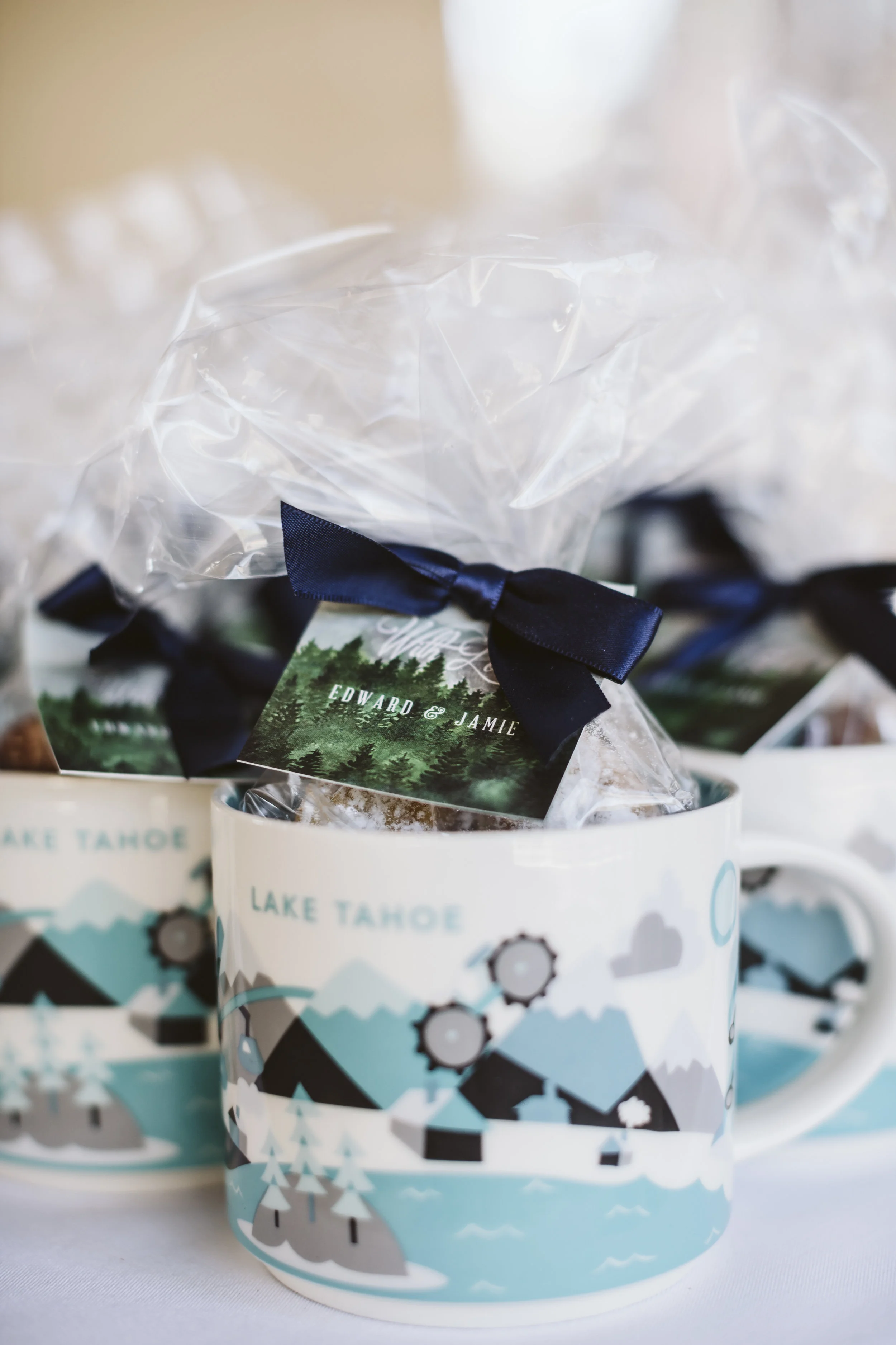 _MG_7309vildphotography-adventurewedding-tahoe-laketahoewedding-laketahoeweddingphotographer-tahoewedding-jamie-ed.jpg
