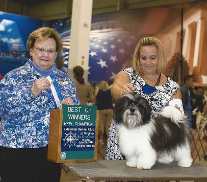Percy AKC Winner.jpg