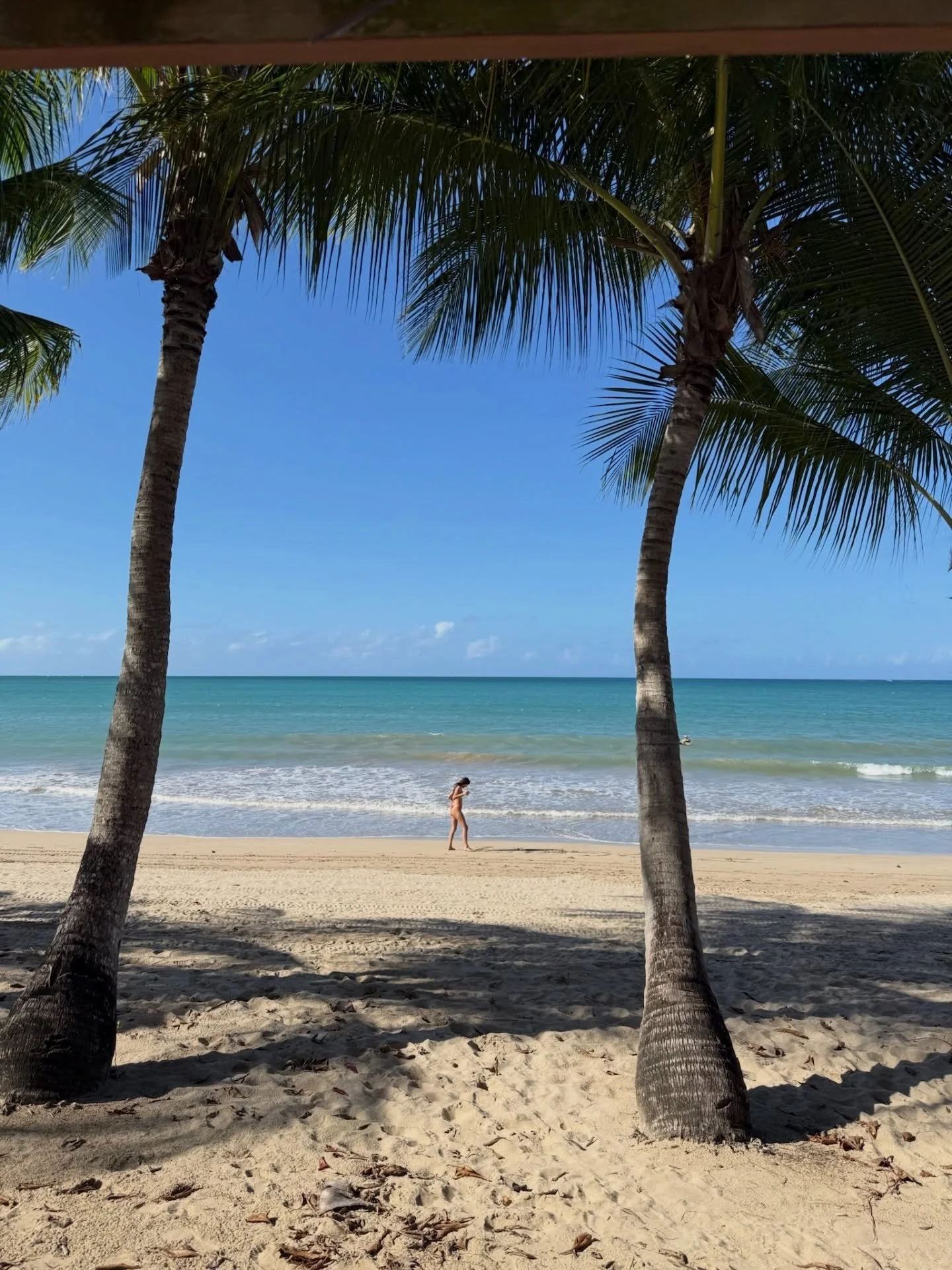 Missing the beach and swimming with the fishies 🥥🌴🐠