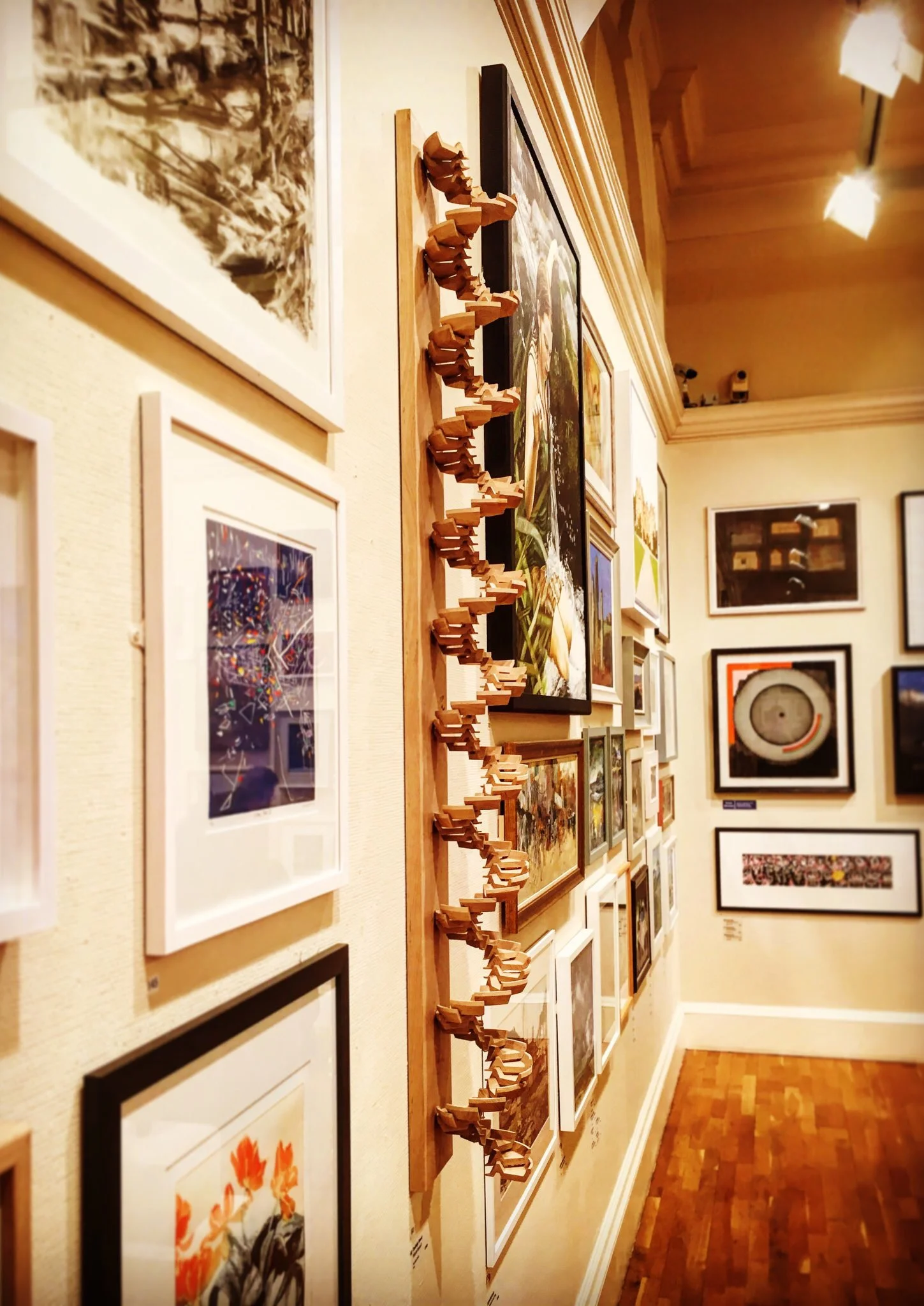 "DNA-B" in situe at the Victoria Art Gallery