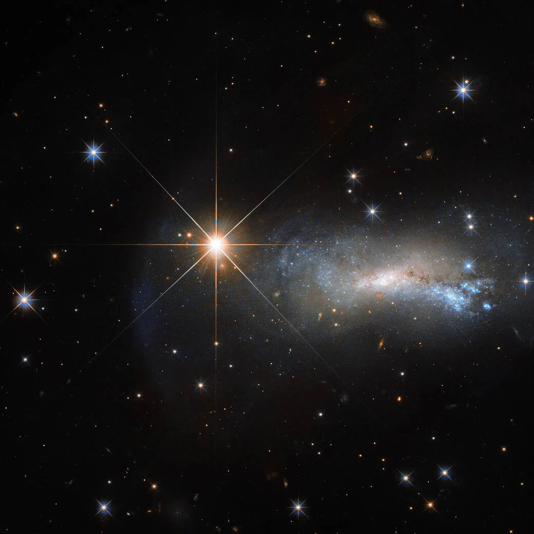 The star of grace, a ray of hope.