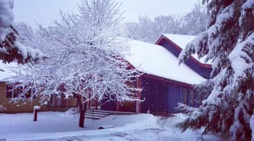 Snow Fall