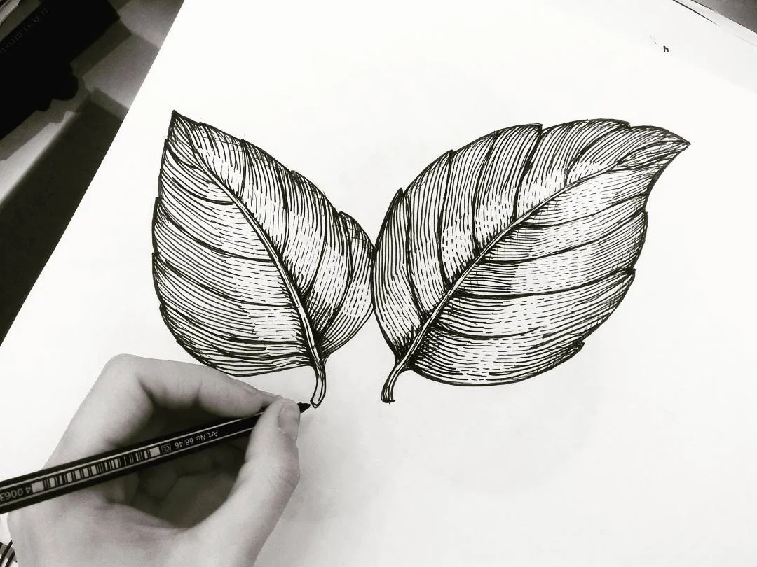 sara bignardi handlettering & illustration