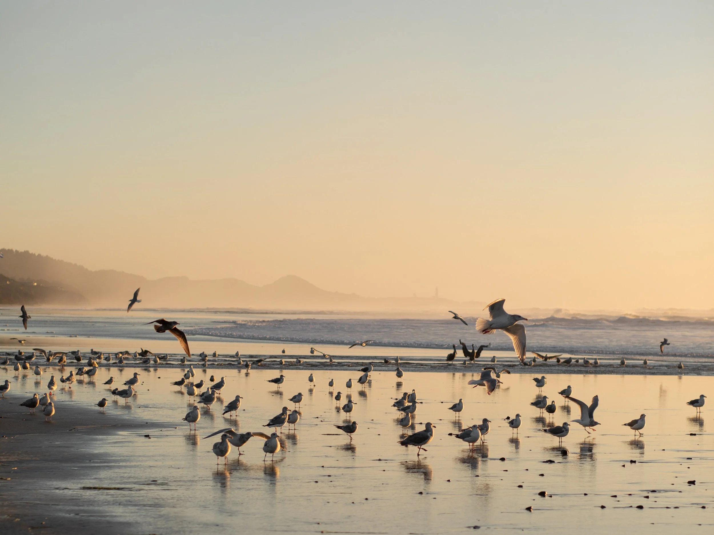 King Tide On The Oregon Coast