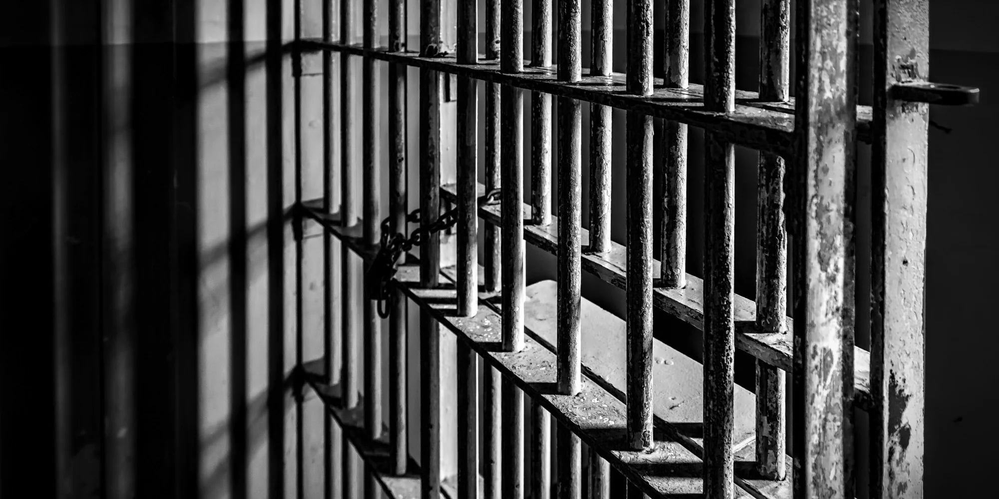 bars.jpg