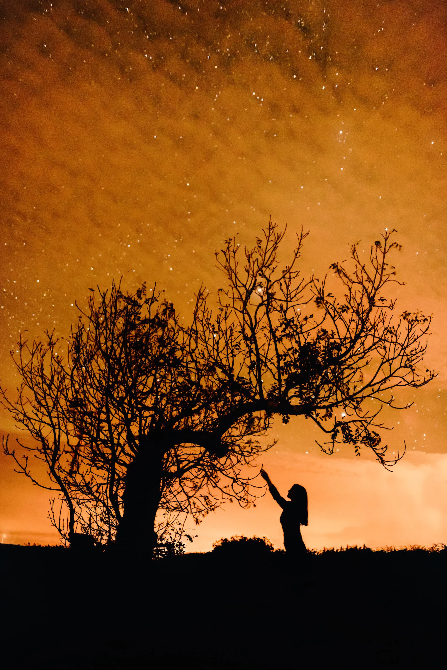 stars 2 copy.jpg