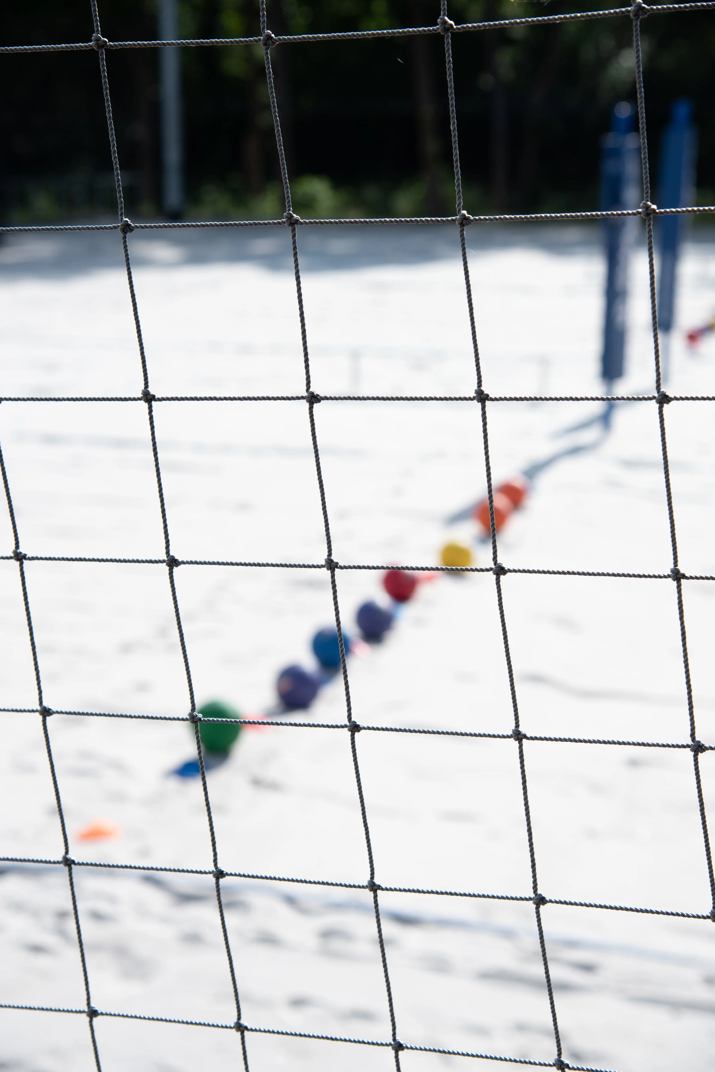 DISE Dodgeball 2019-9.jpg