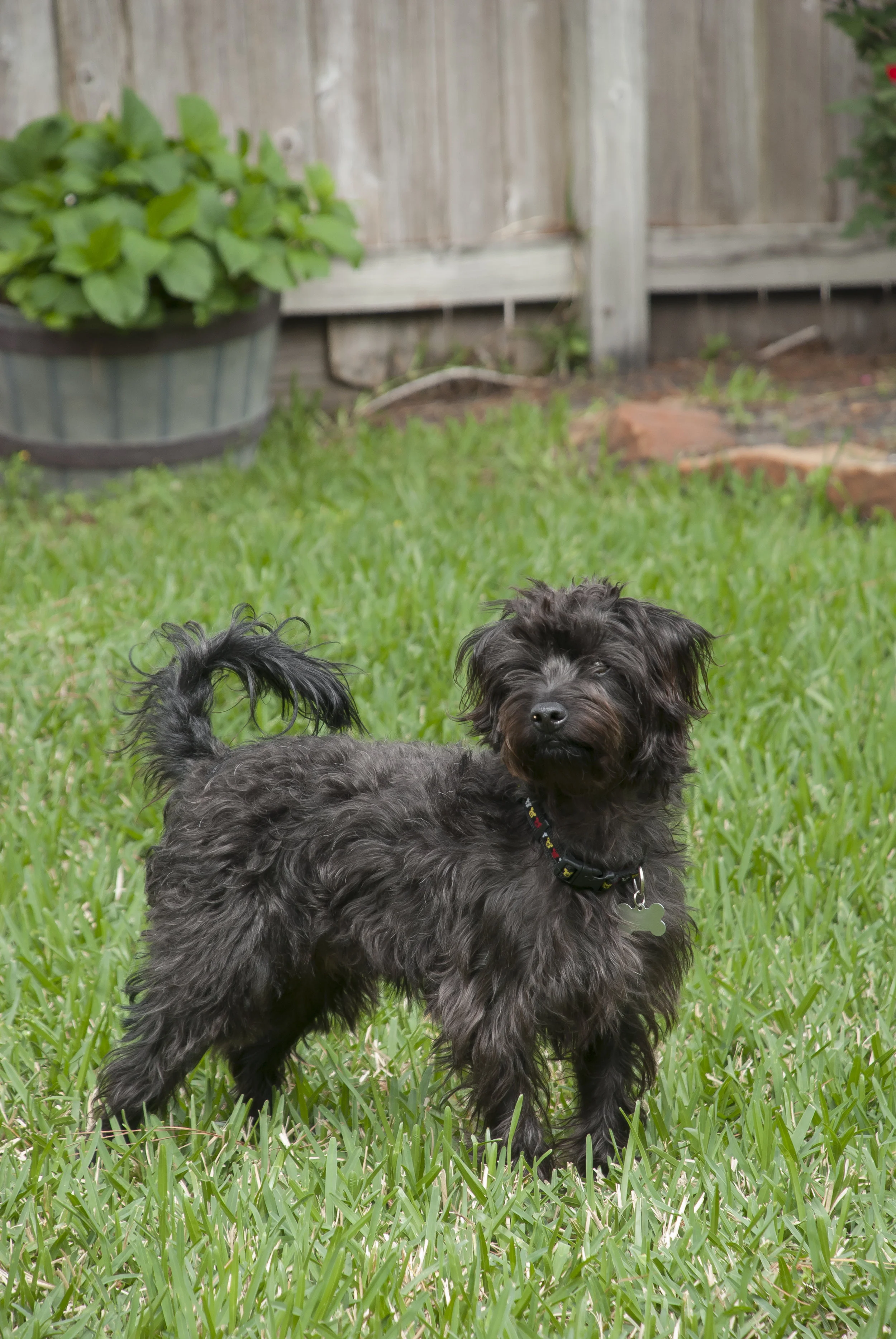 Sammie2014.jpg