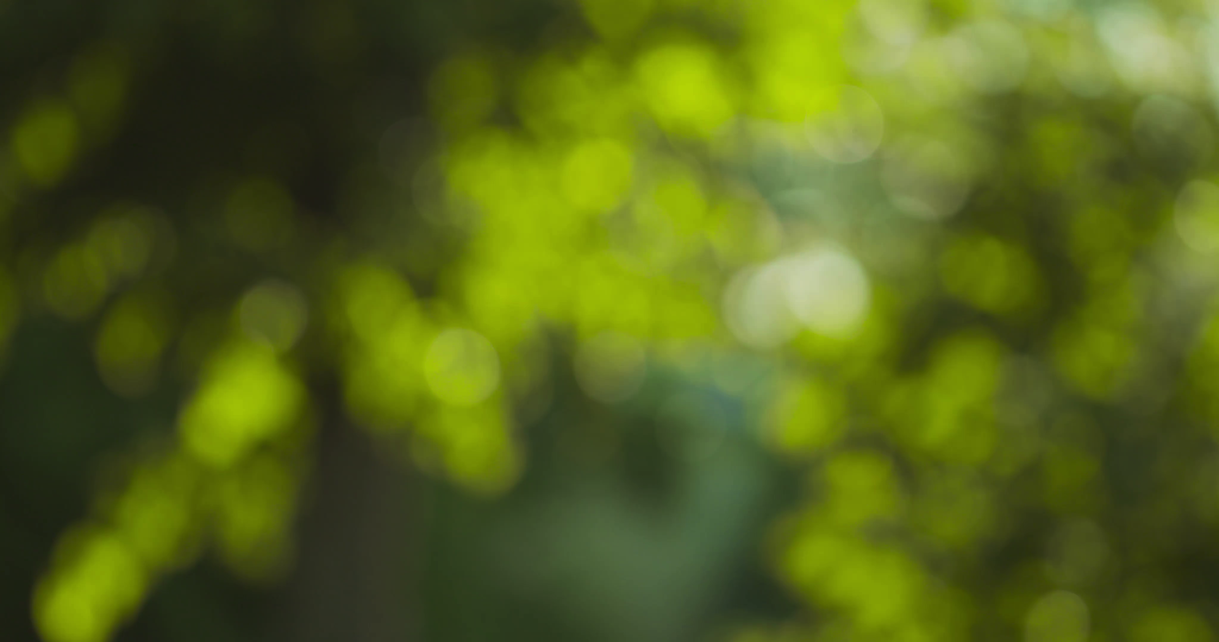 blur-background-10.png