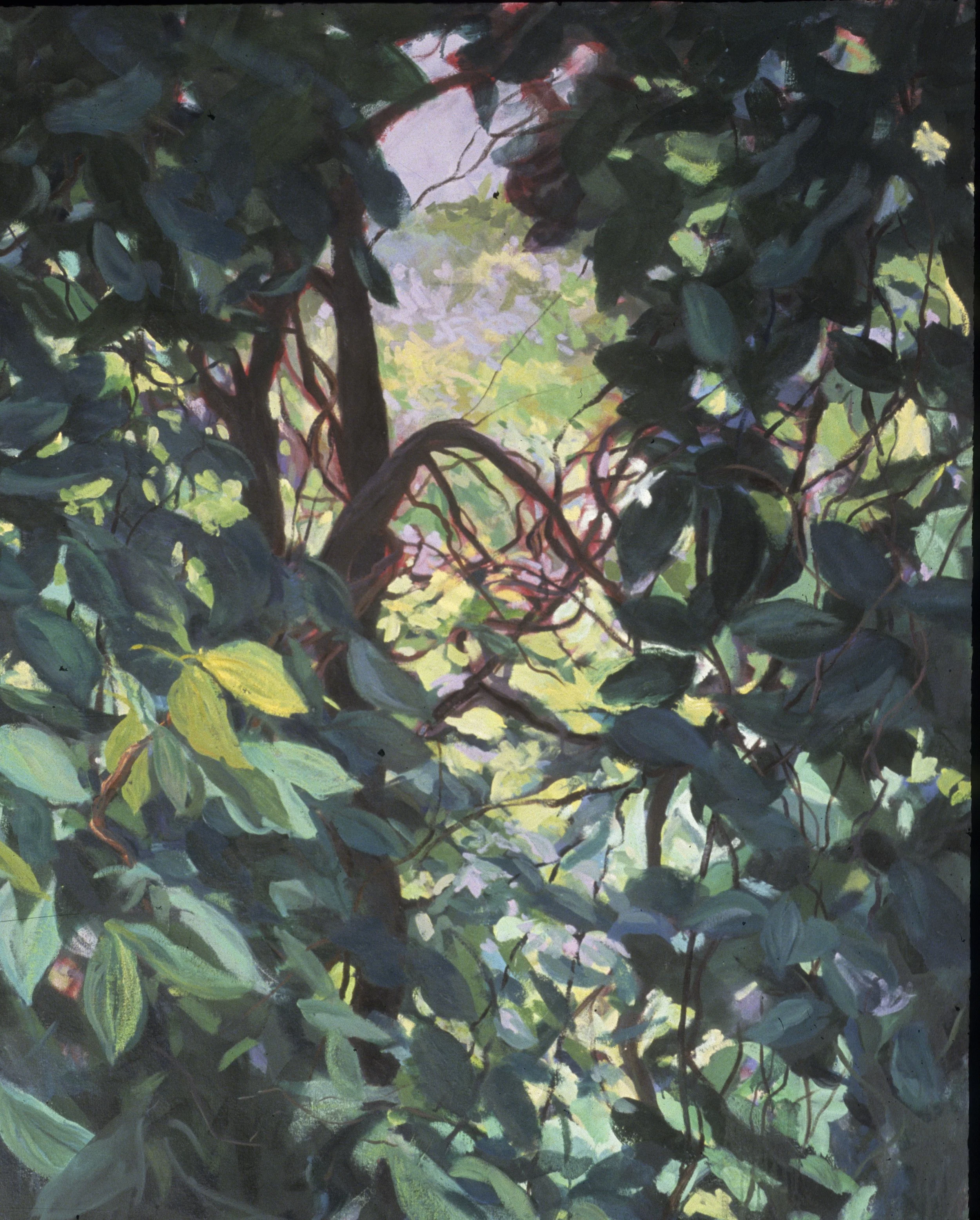 Image2.jpg