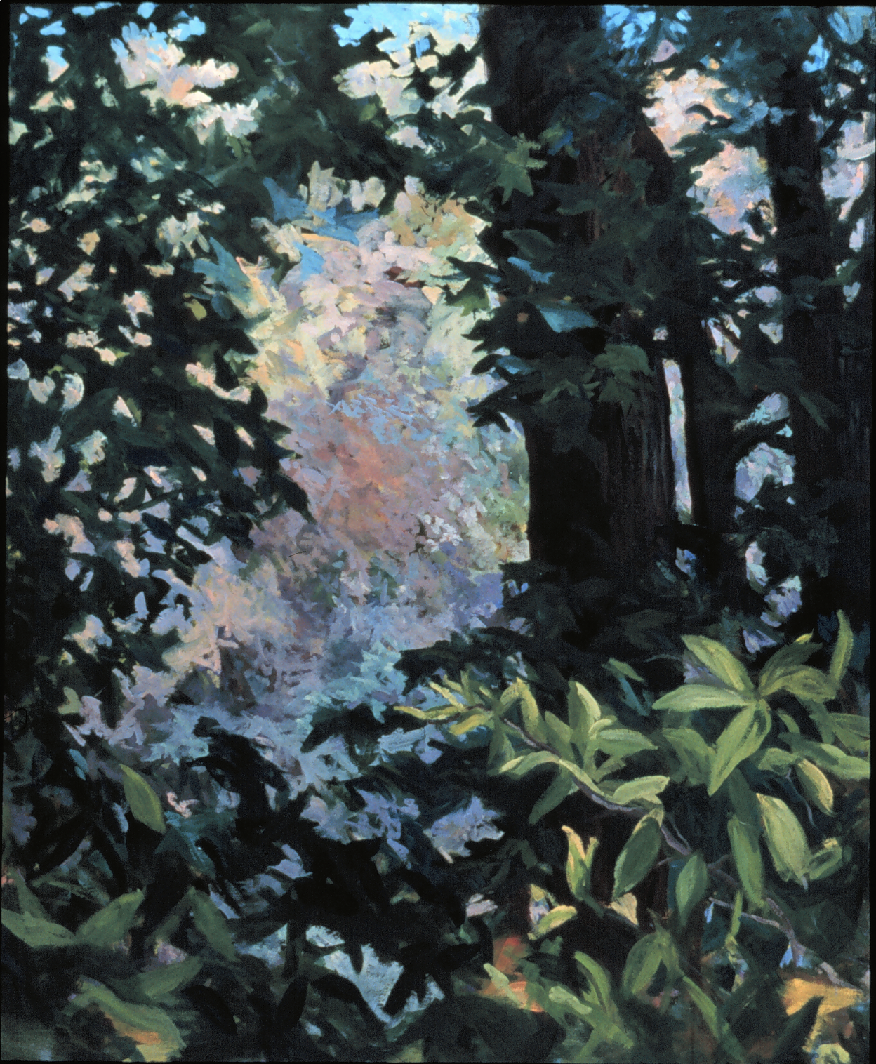 Spring