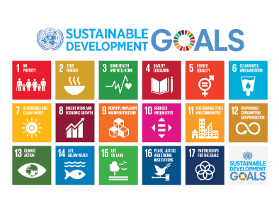 SDG.png