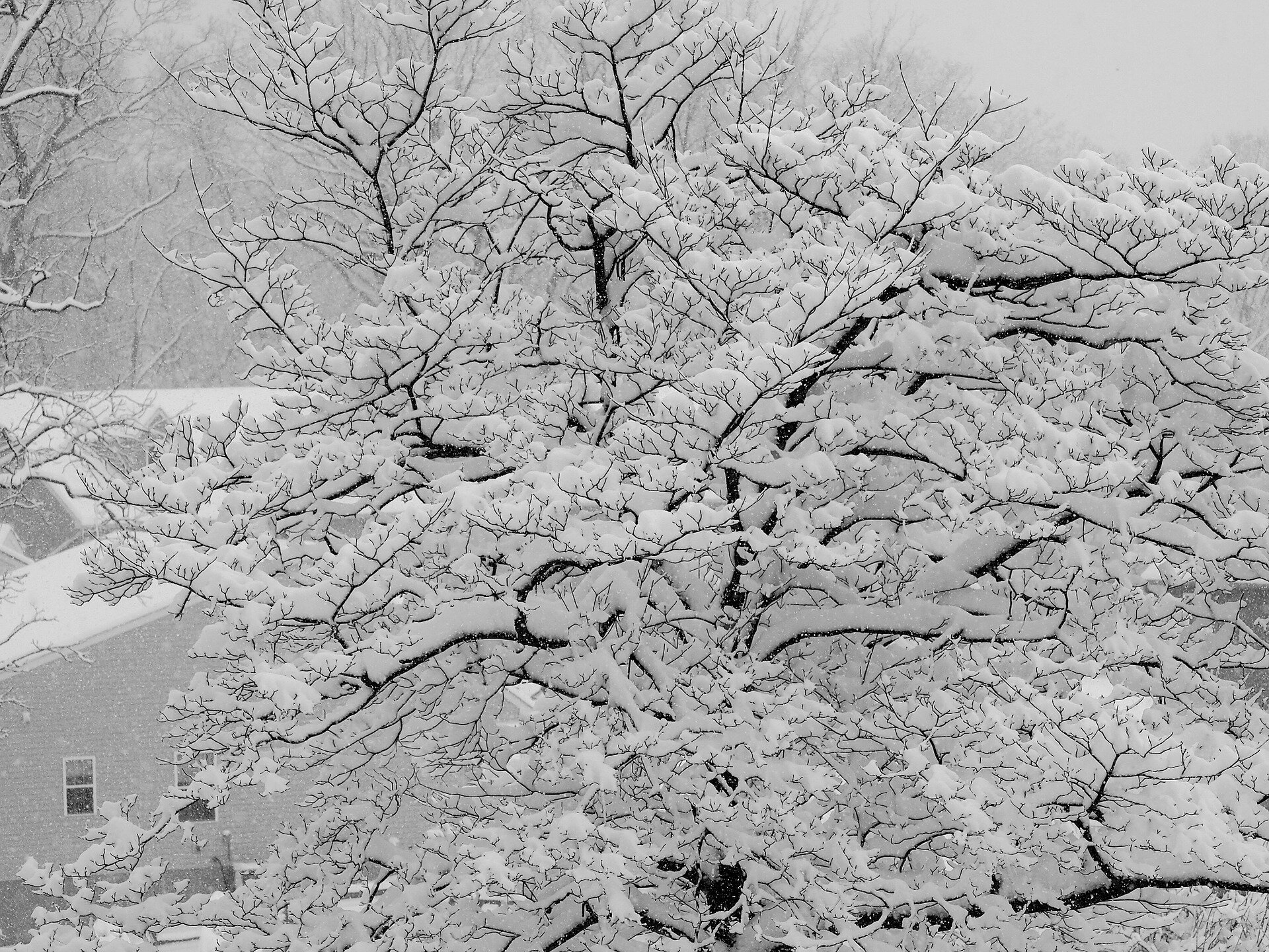 winter-695892_1920.jpg