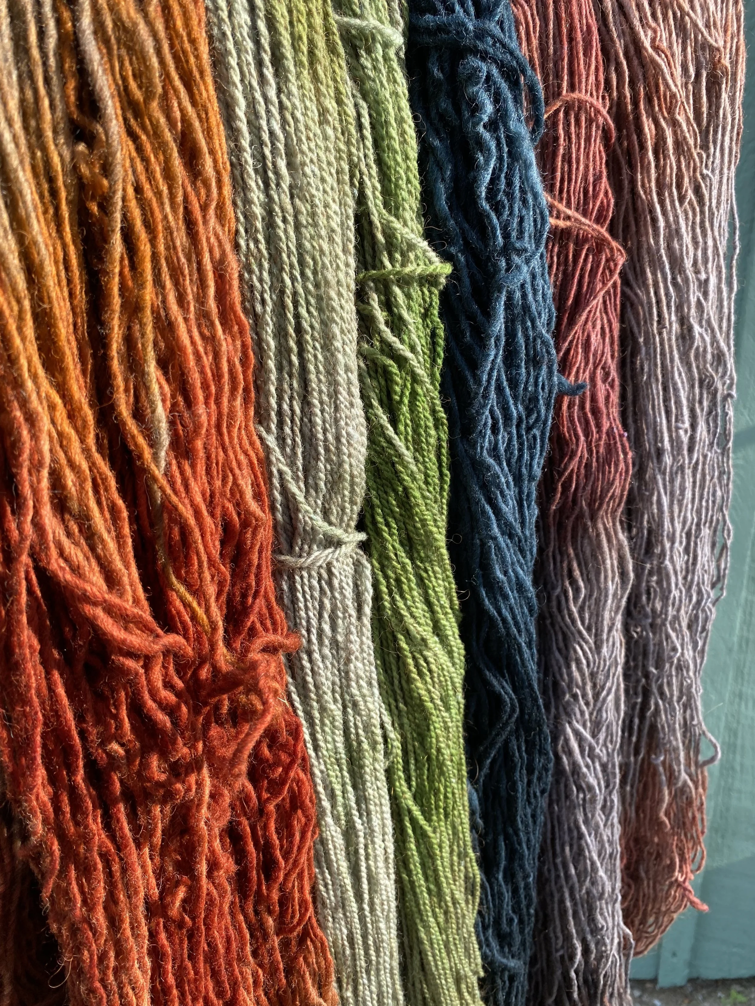 🐑🌄 Tier 3: The Founding Flock Share