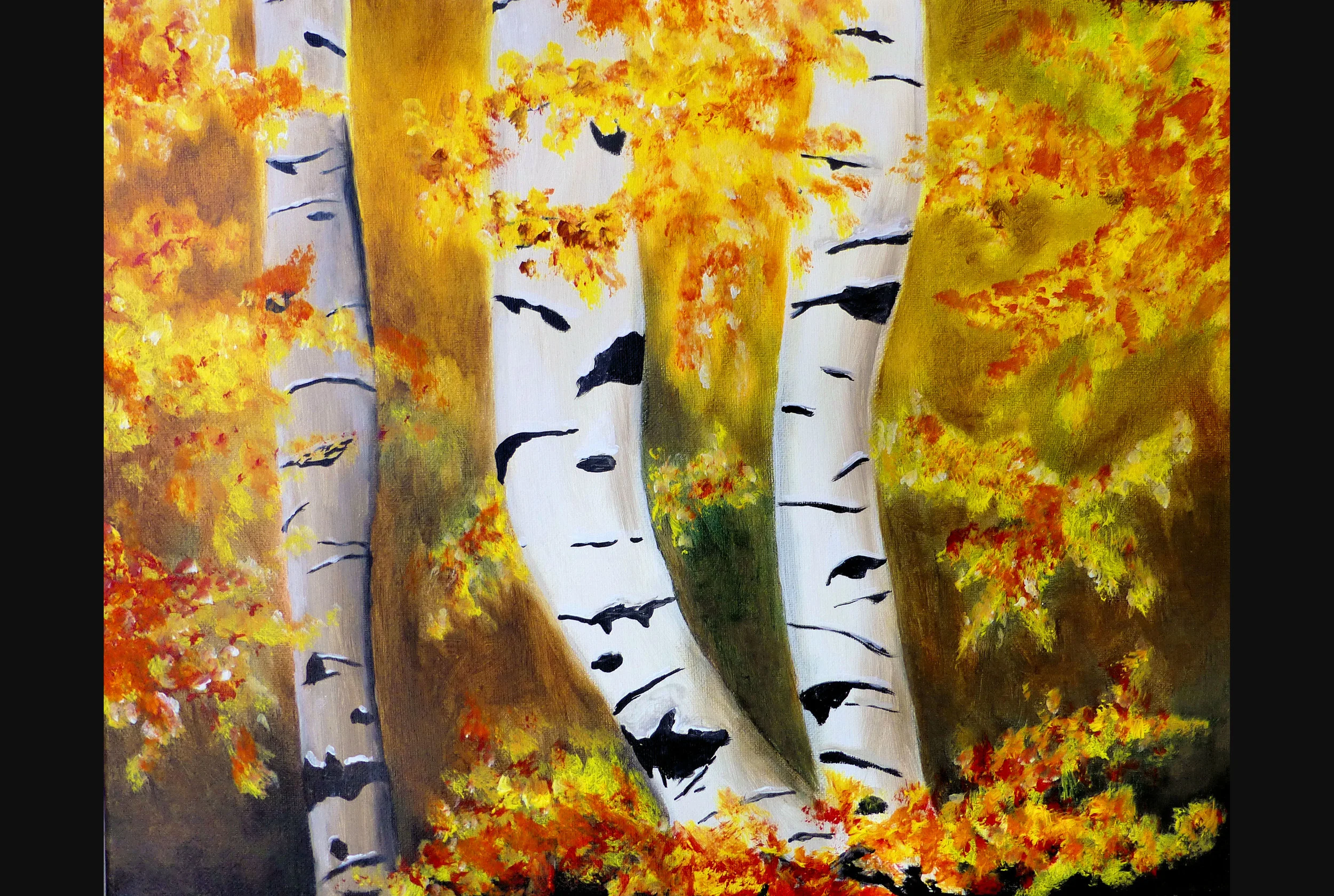 Autumn Birch Trees