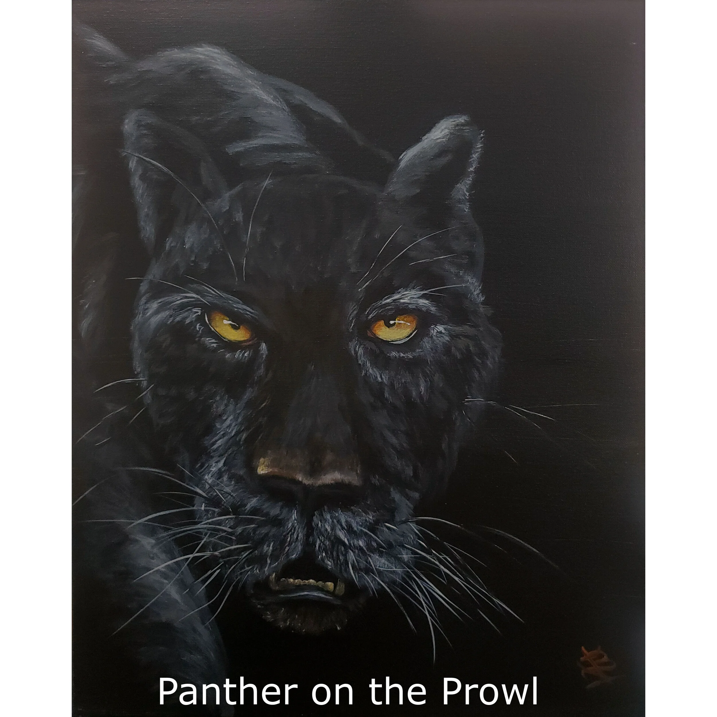 PantherOnProwl2.jpg