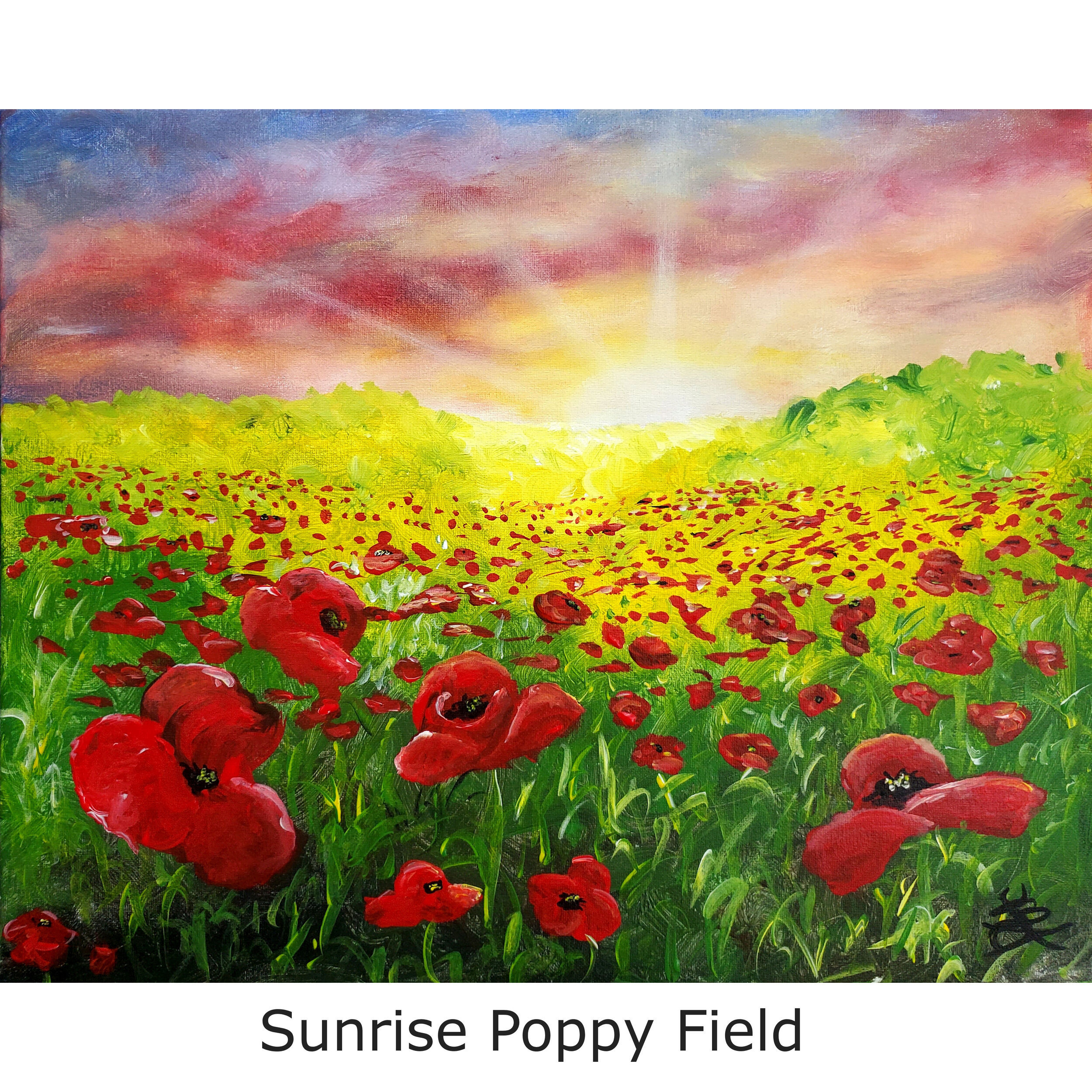 SunrisePoppyField2.jpg