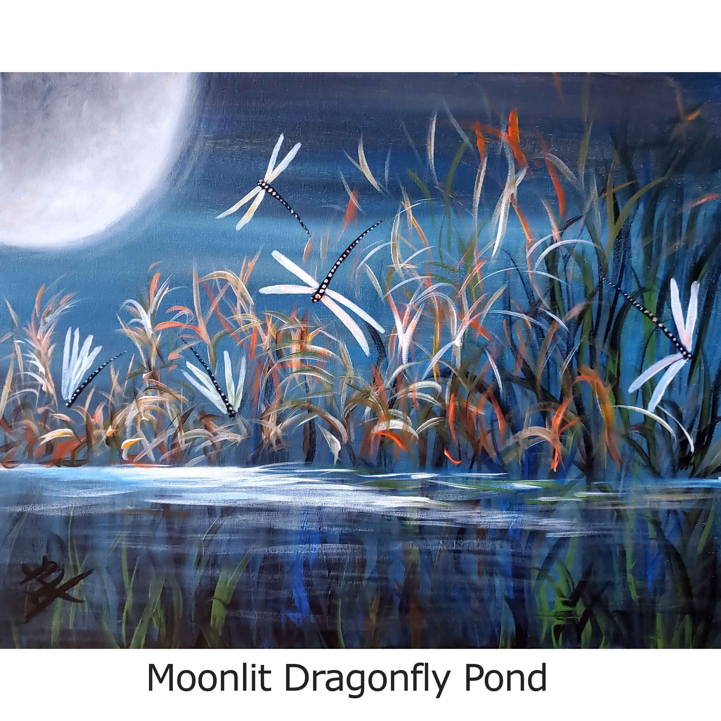 MoonlitDragonflyPondVideo2.jpg