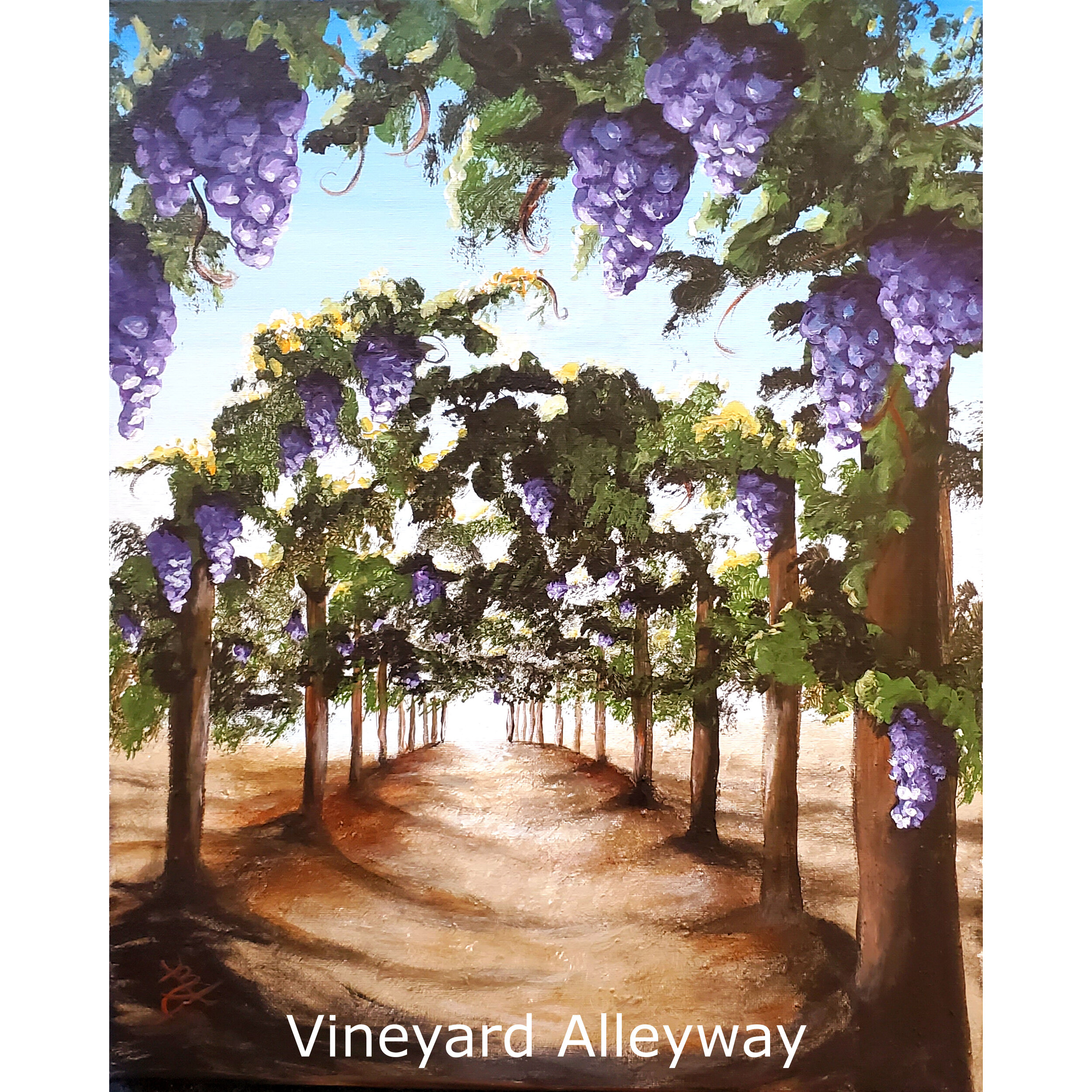 Vineyard Alleyway2.jpg