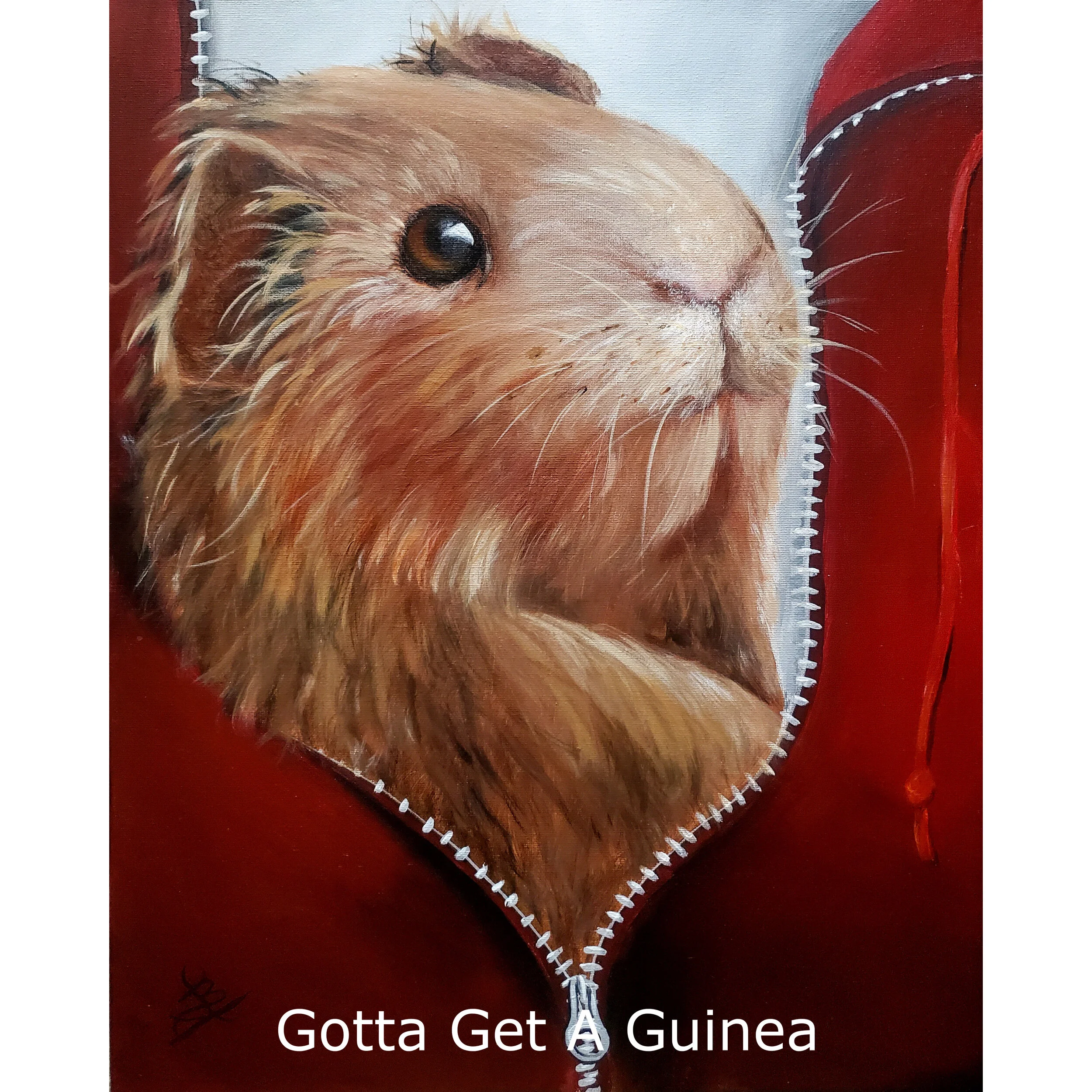 GottaGetAGuinea.jpg