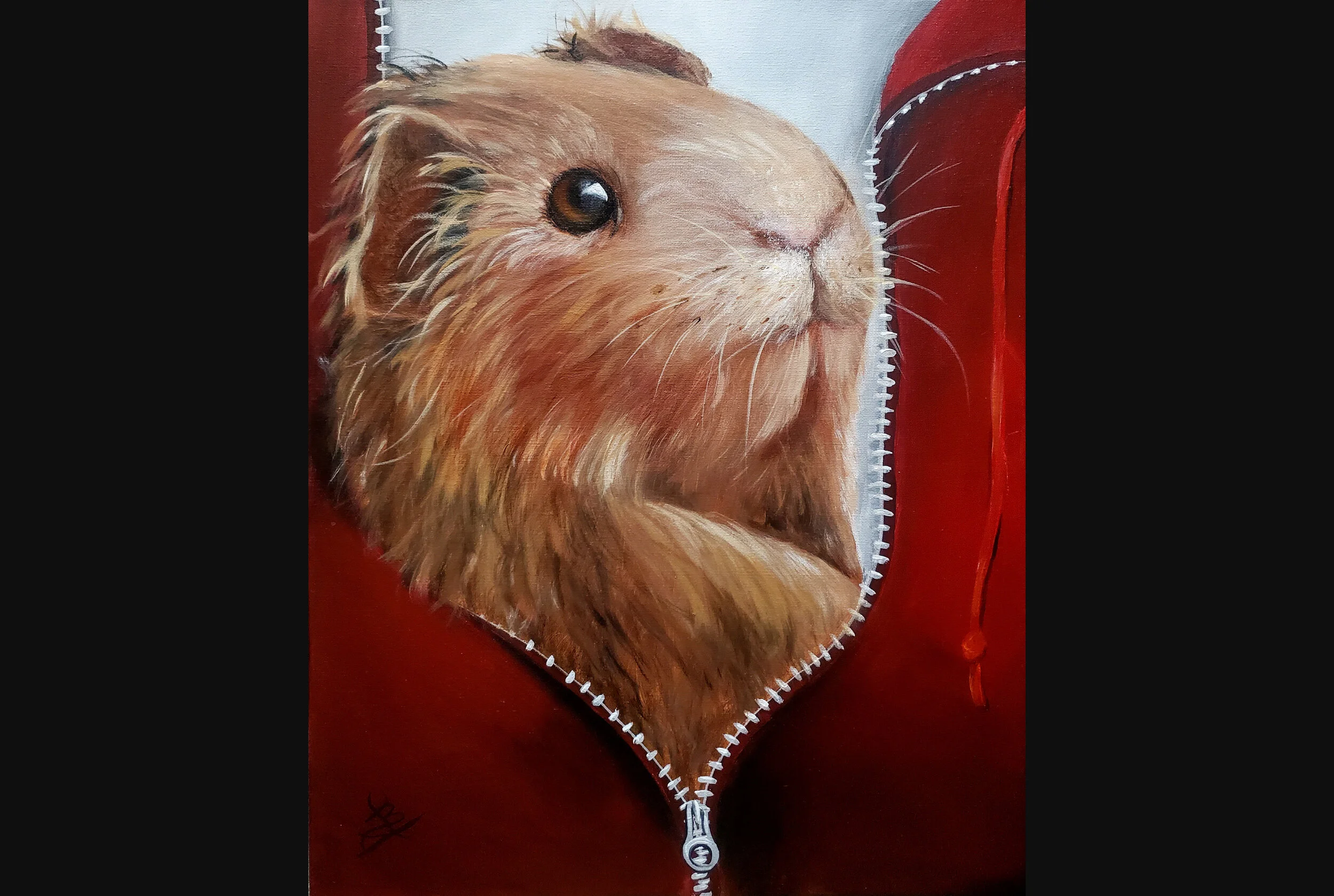 Gotta Get a Guinea