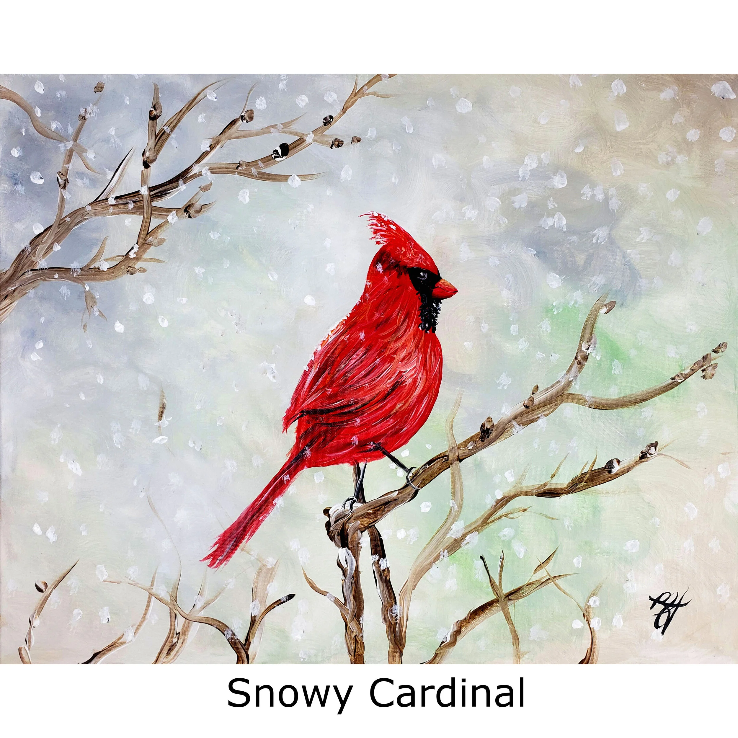 Snowy Cardinal-video.jpg