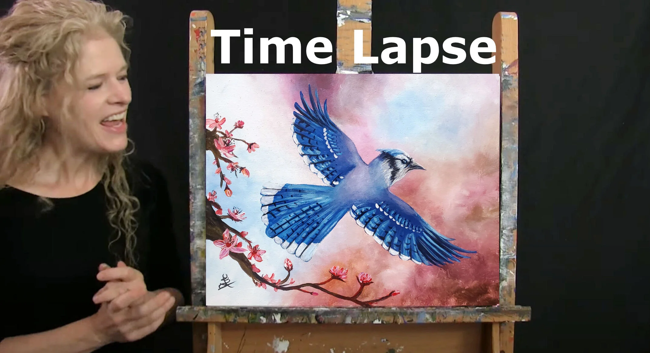 Cherry Blossom Blue Jay