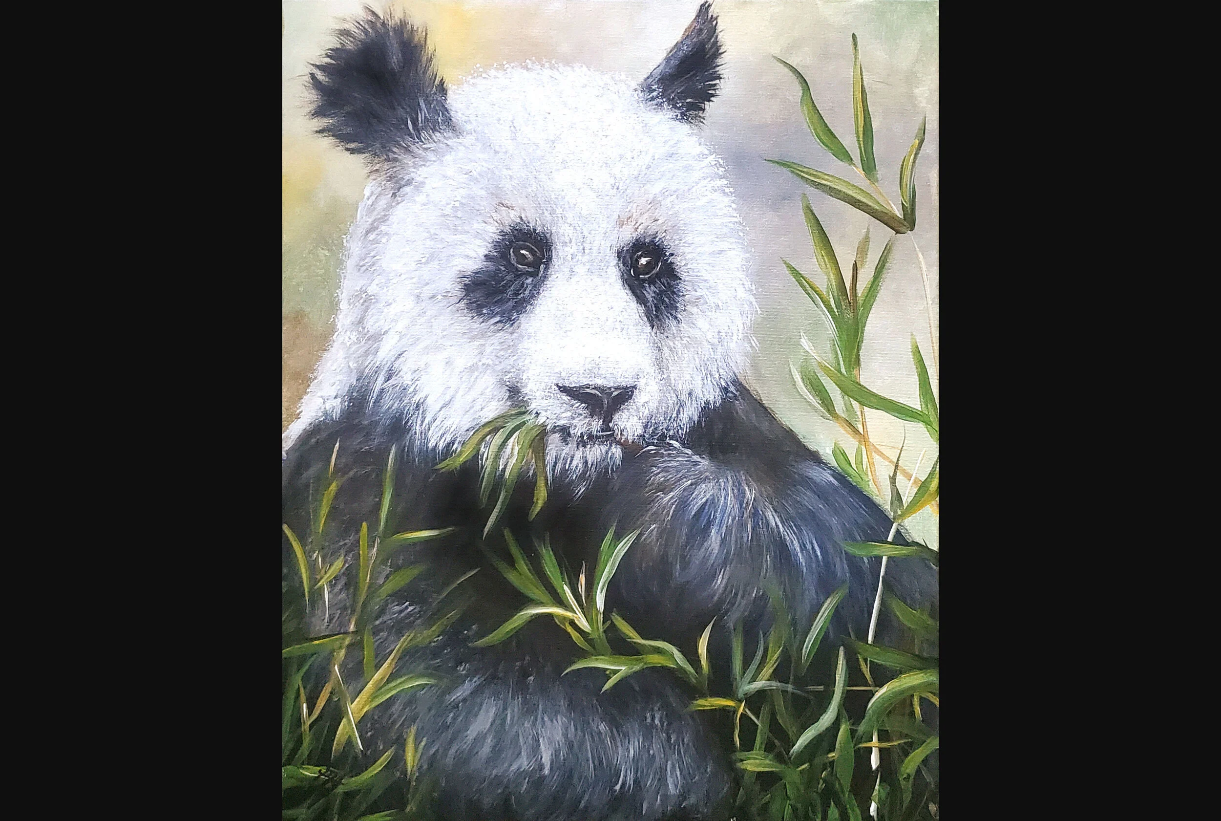 Bamboo Panda