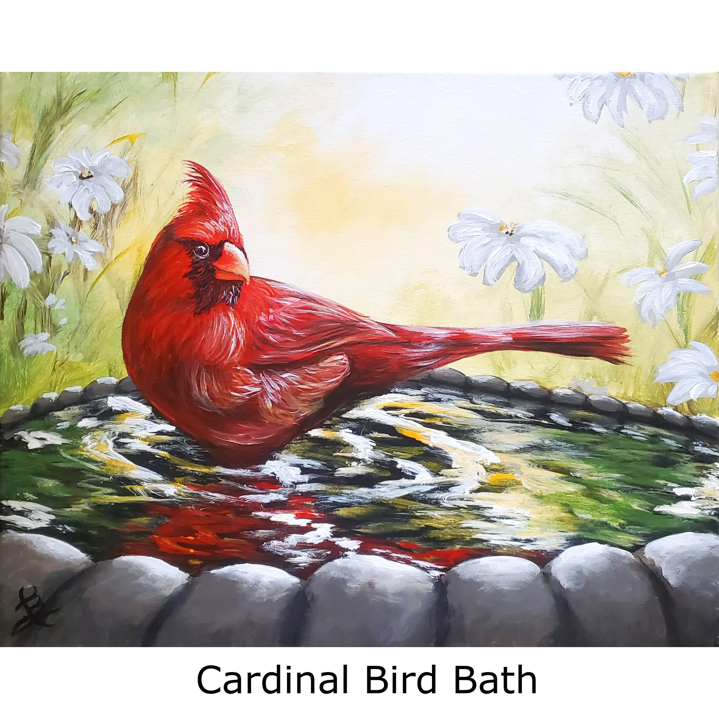 CardinalBirdBath-2.jpg