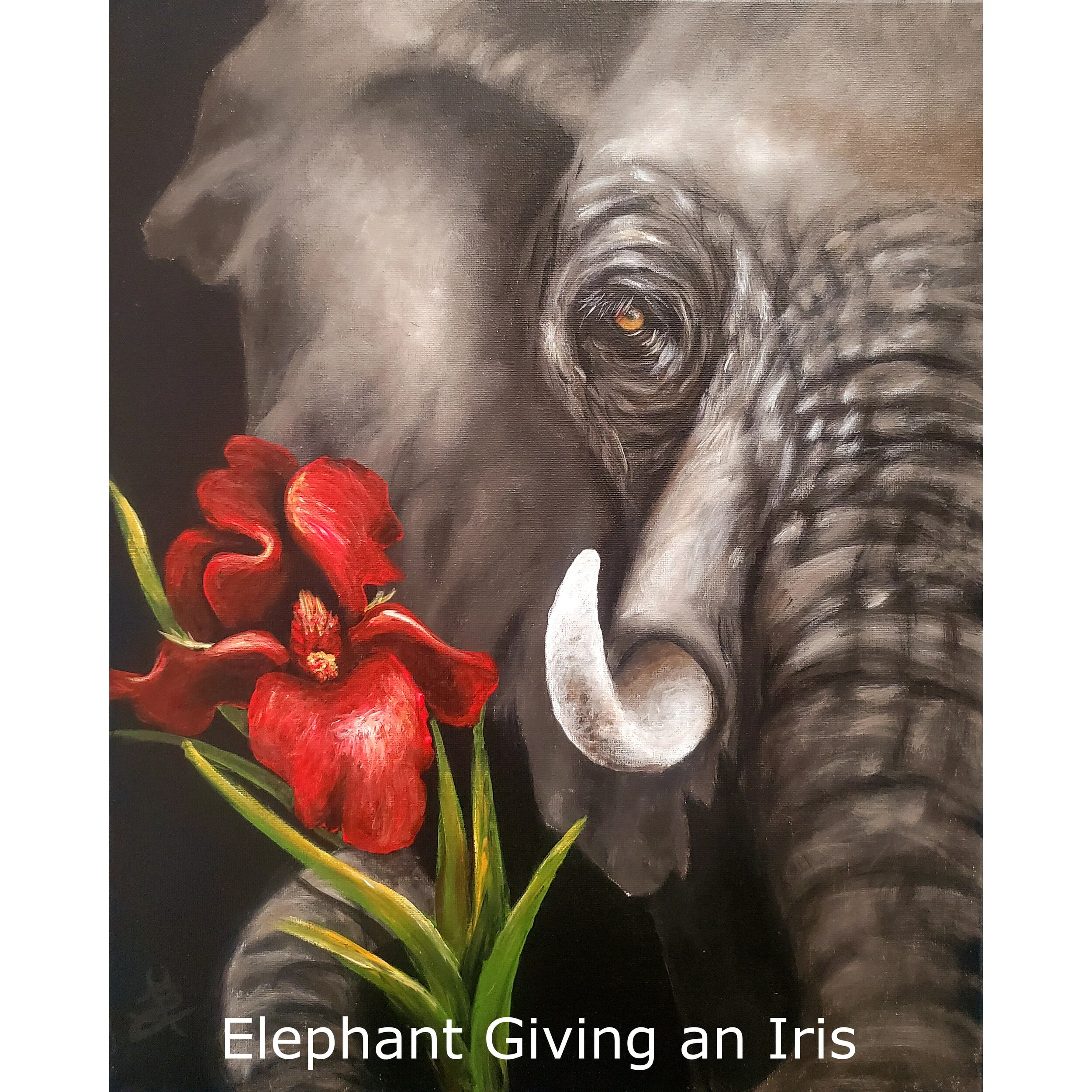 Elephant Giving an Iris.jpg