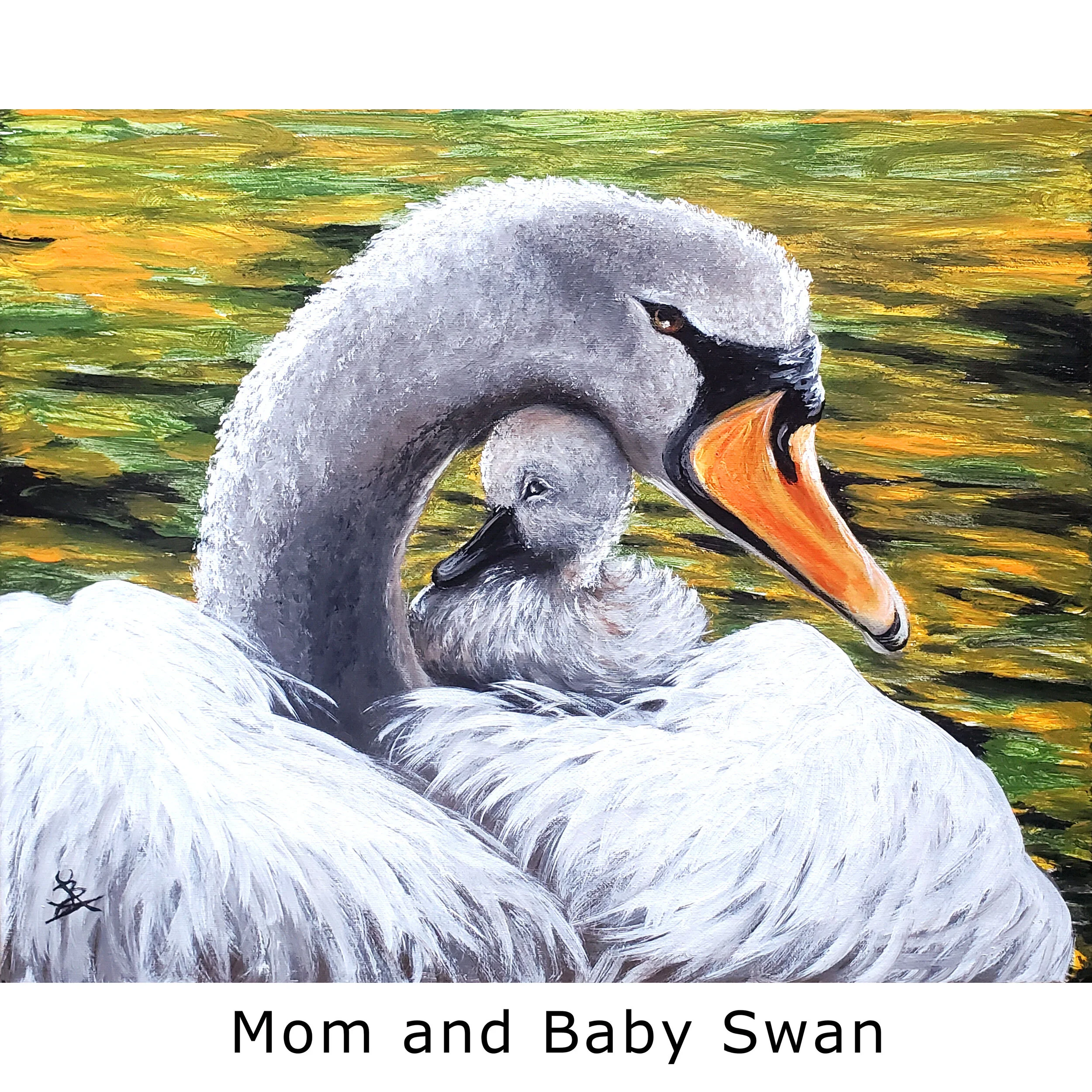 Mom and Baby Swan2.jpg
