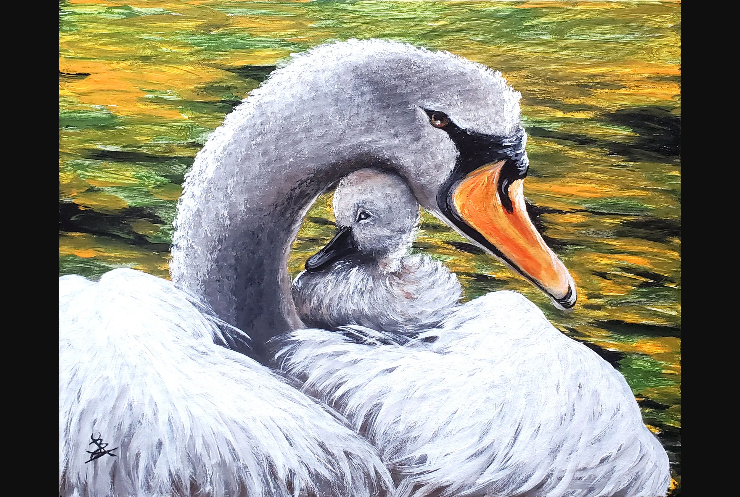 Mom and Baby Swan