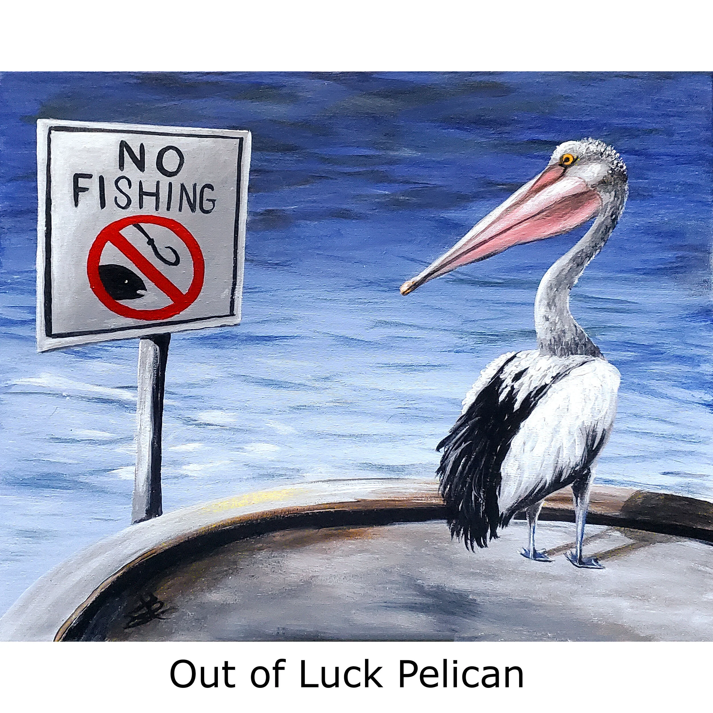 Out of Luck Pelican-2.jpg