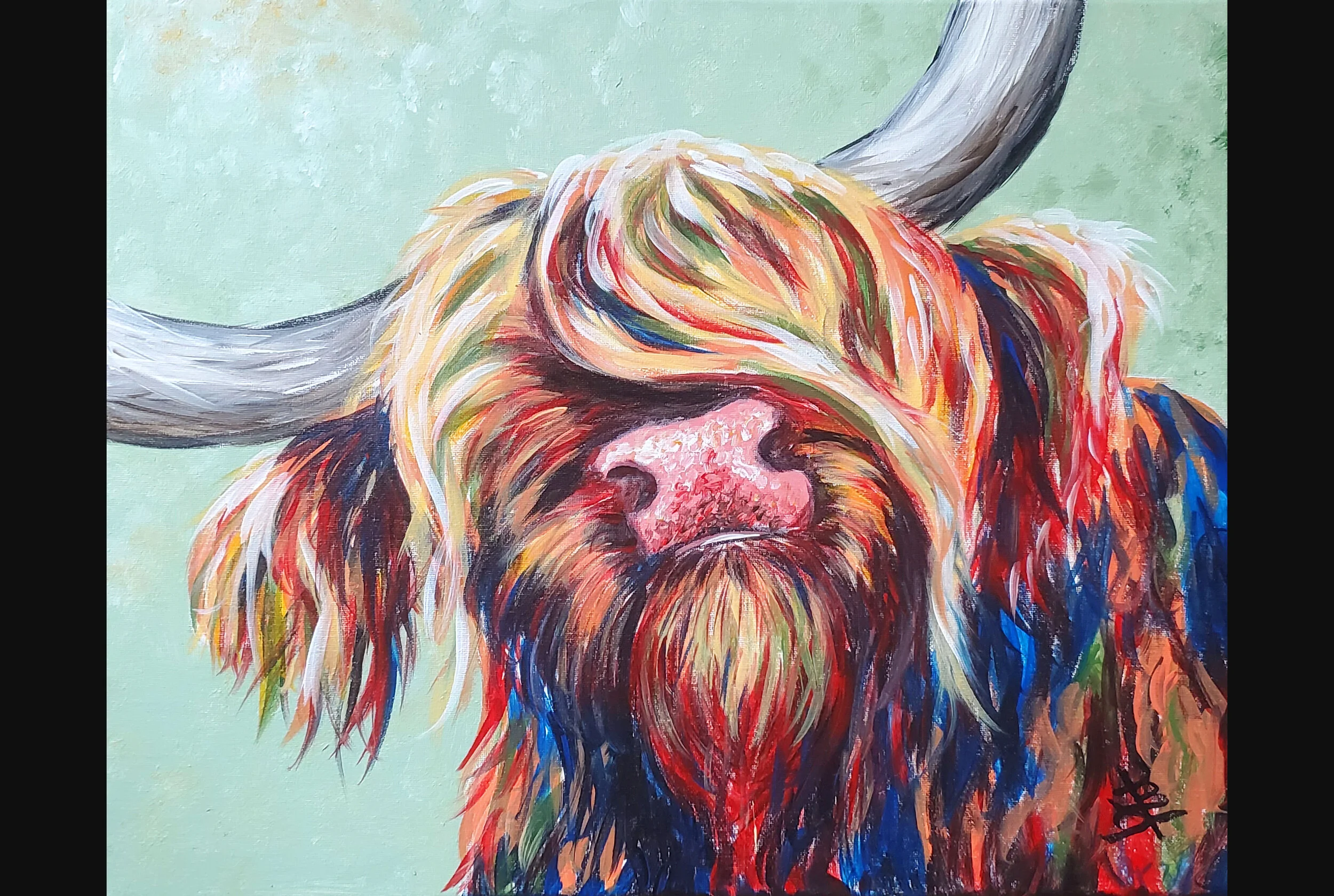 Colorful Highland Cow