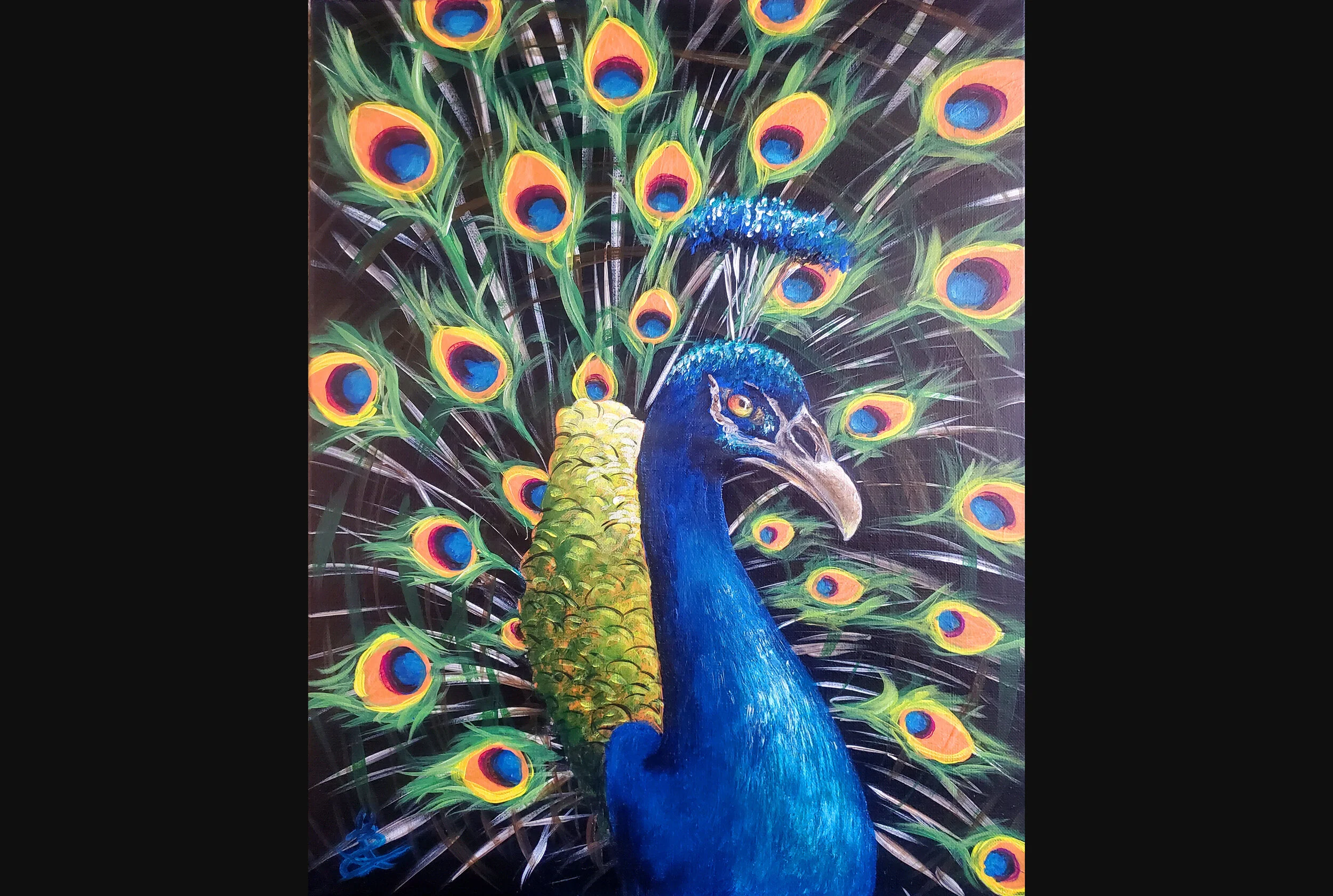 Proud Peacock