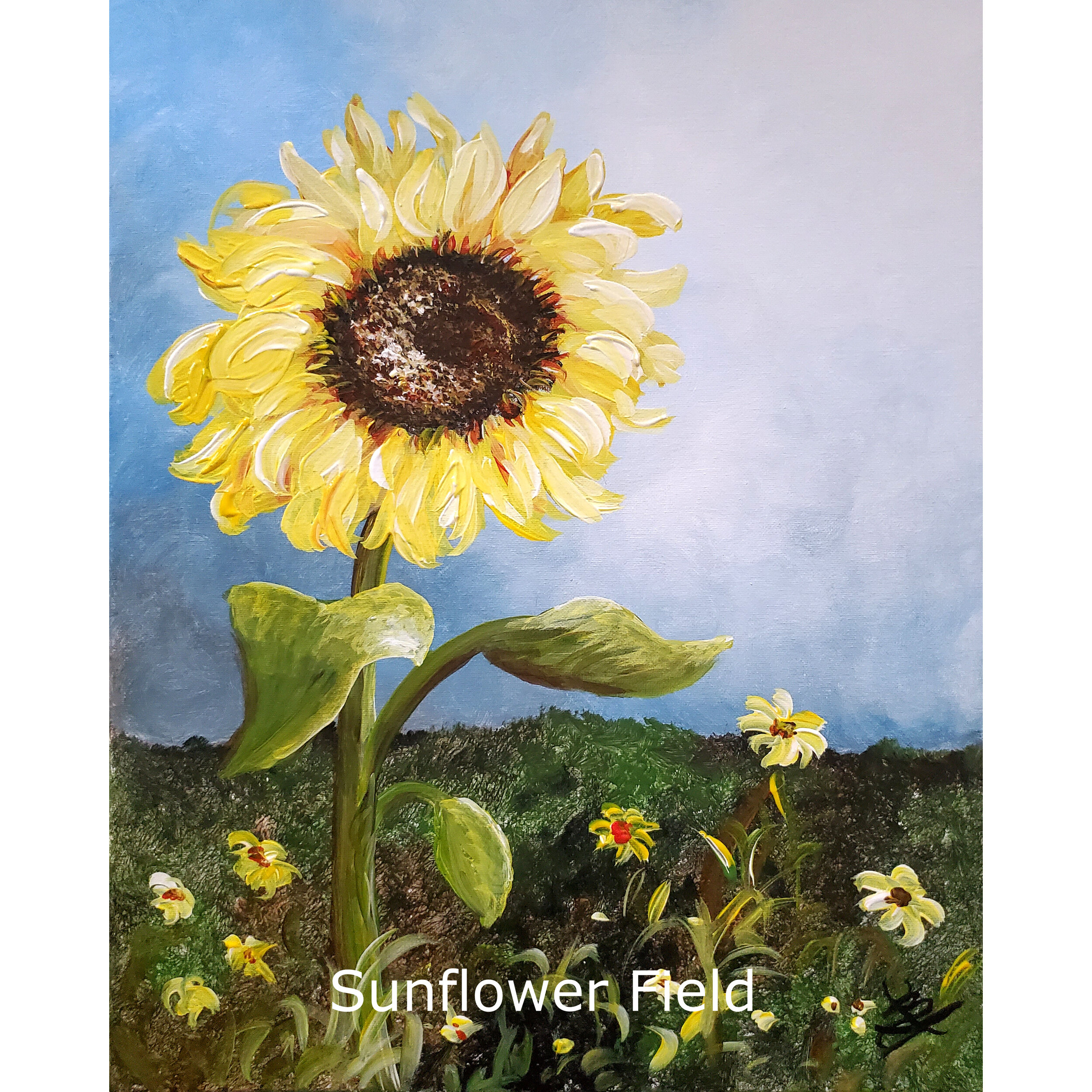 Sunflower Field2.jpg
